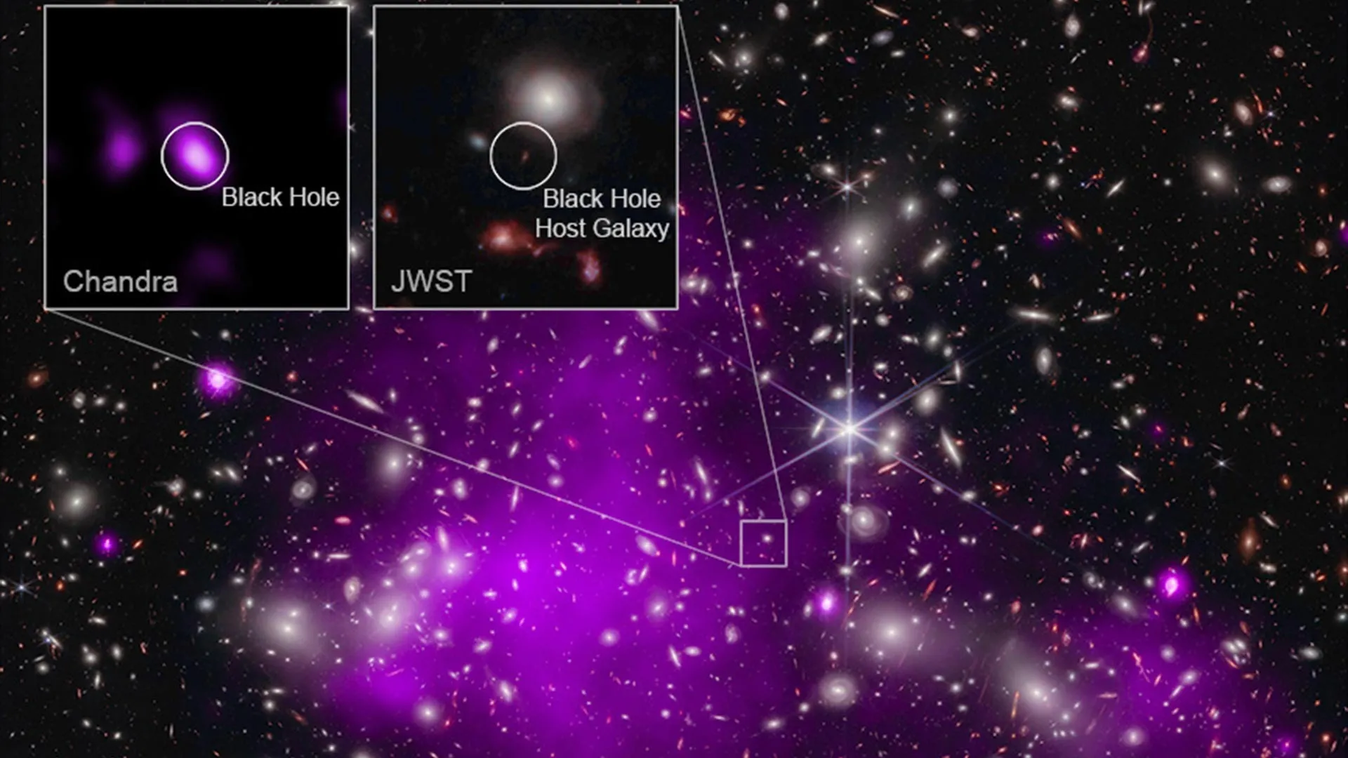 Dark Stars Could Explain JWST Mysteries