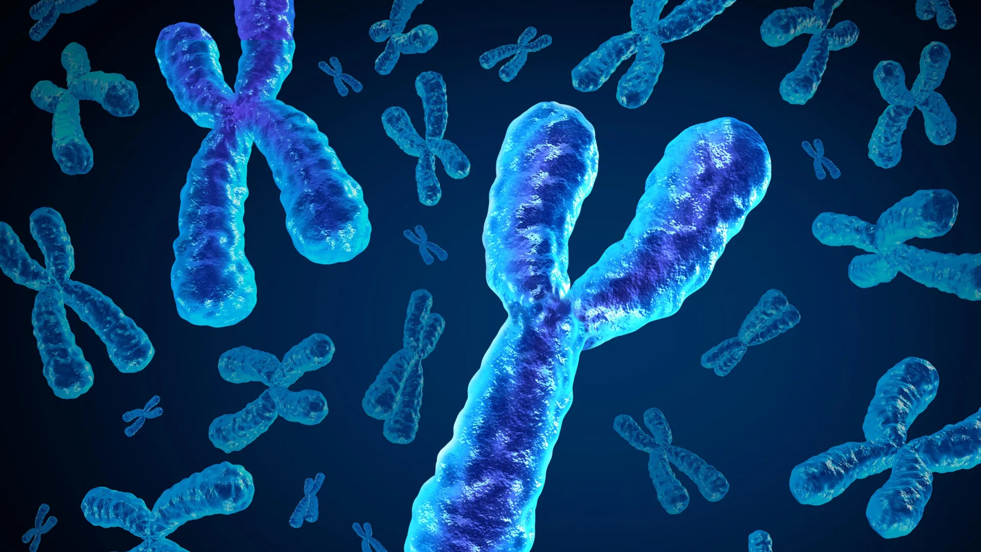 Y Chromosome Loss May Raise Disease Risk
