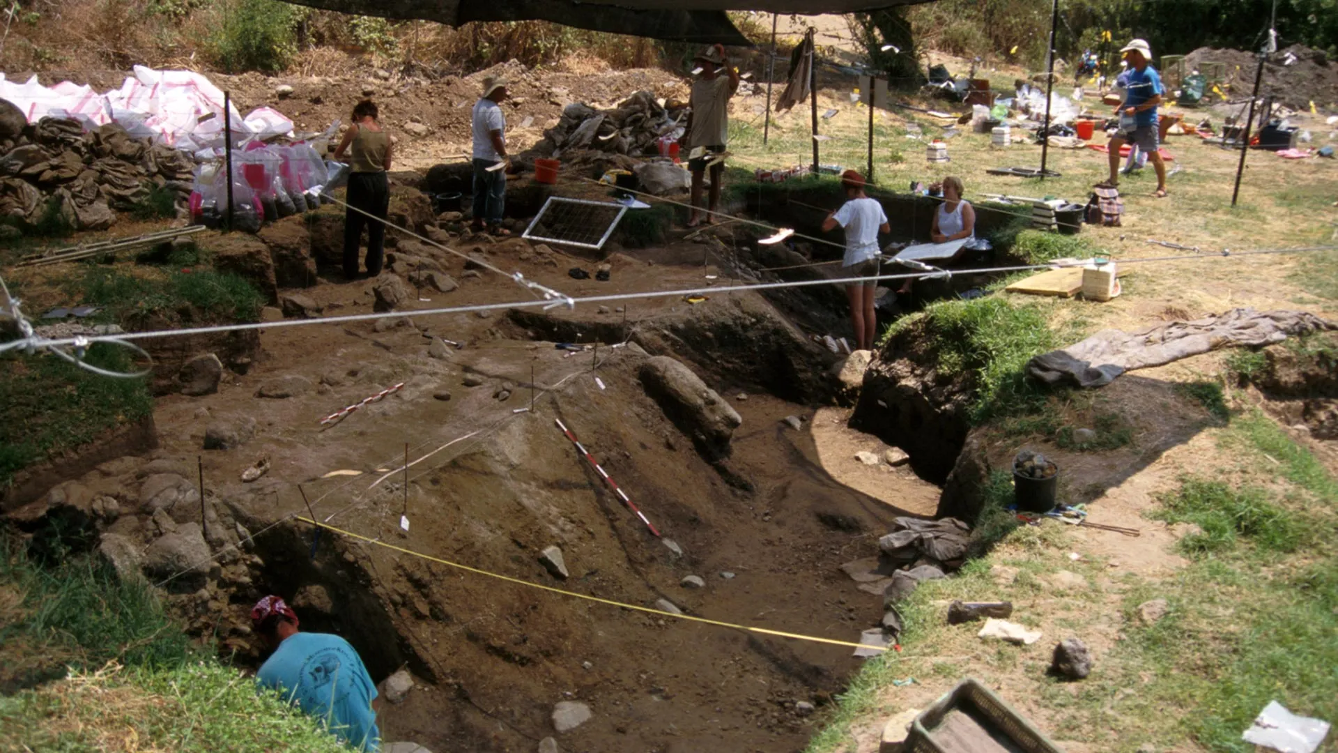 A Firewood Secret From 800,000 Years Ago