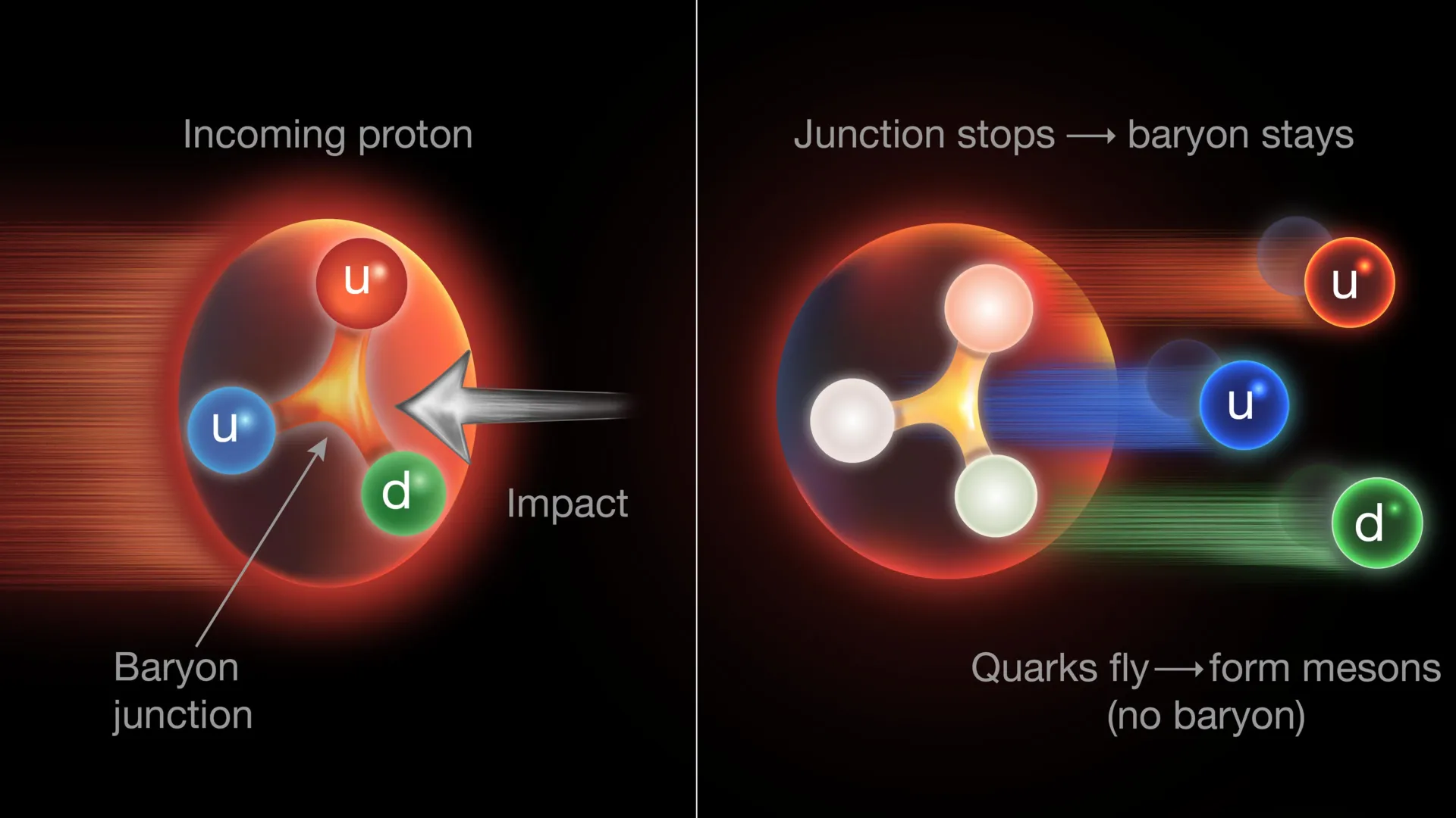 Gluons Challenge the Textbook Proton