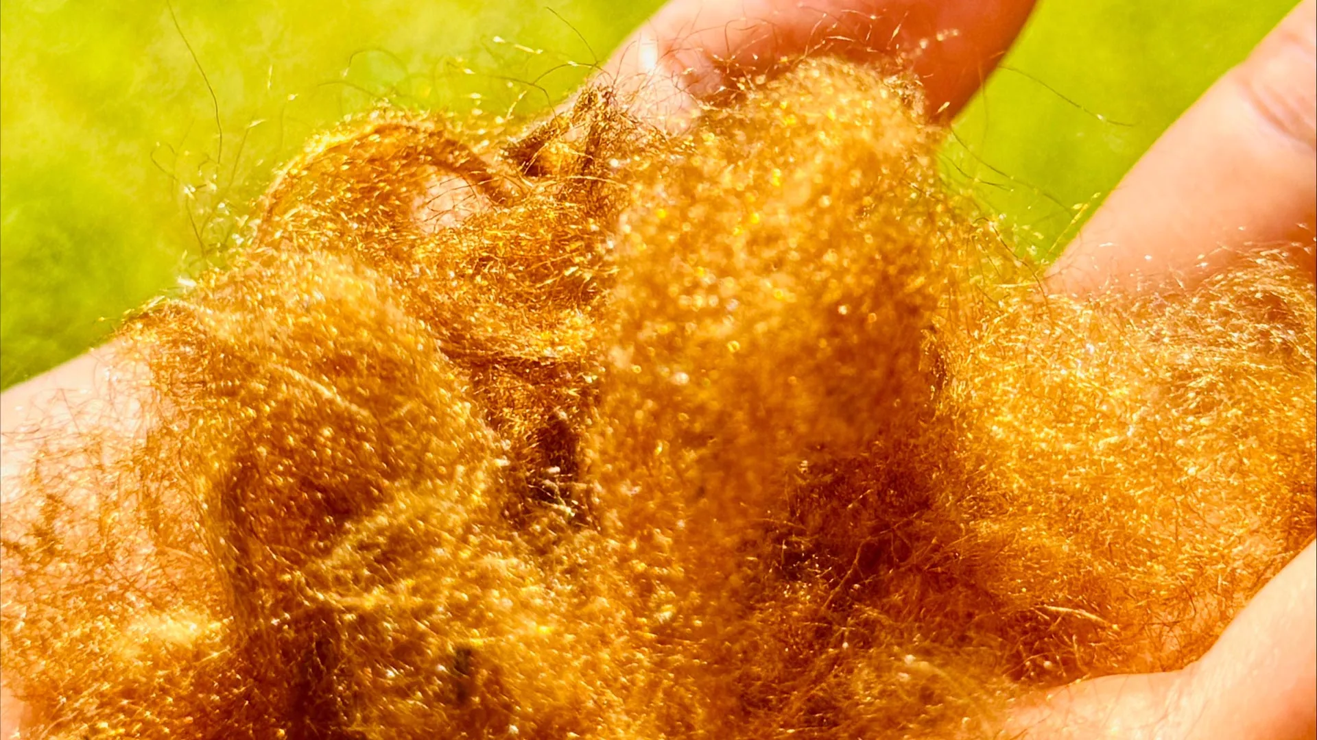 A Legendary Golden Fabric Returns