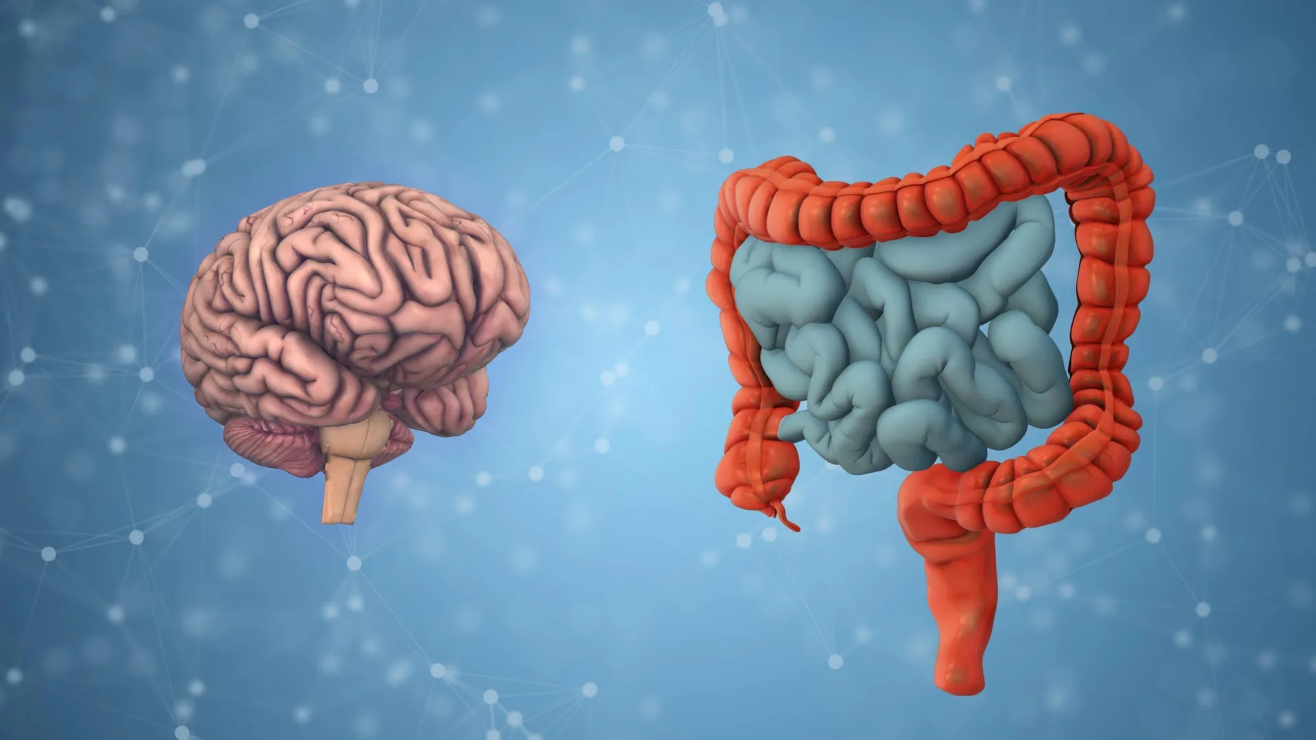 Your gut bacteria may reveal how fast your brain is aging | ScienceDaily