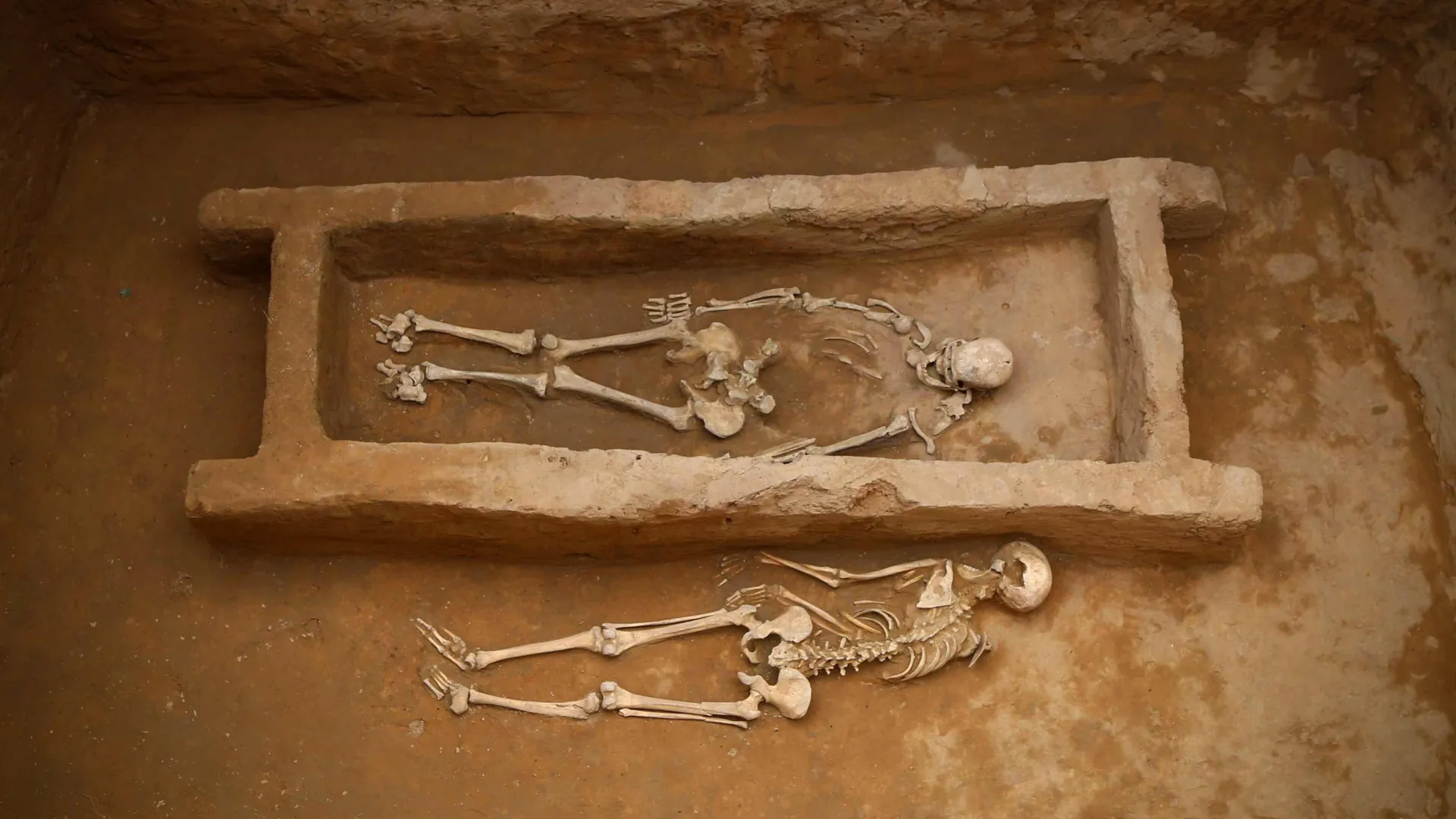 Ancient DNA Reveals Shimao’s Secrets