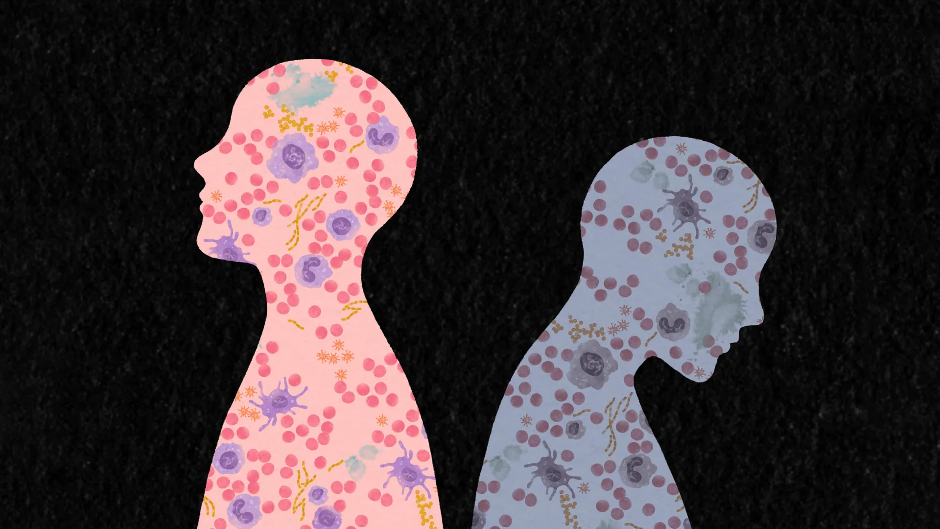 Why Everyone’s Immune System Is Different