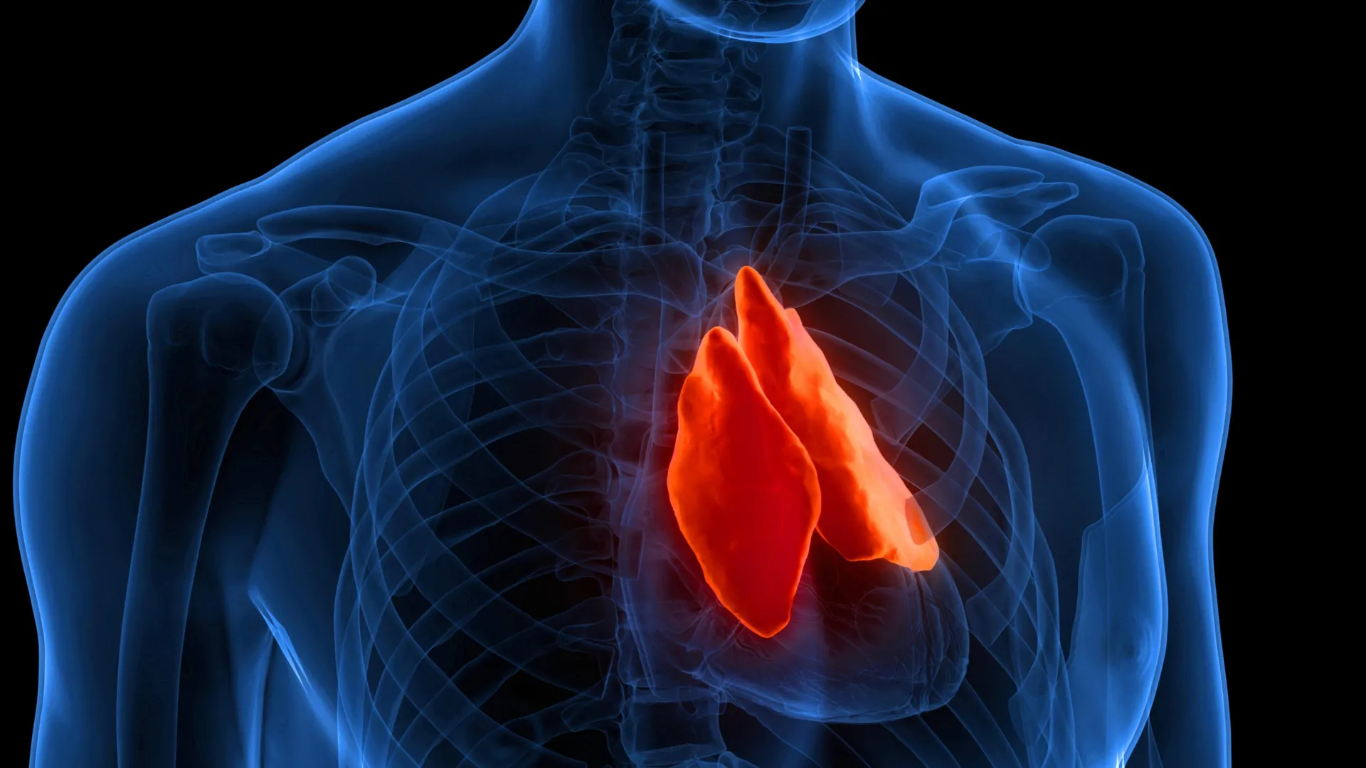This Tiny Organ May Be Key to Healthy Aging