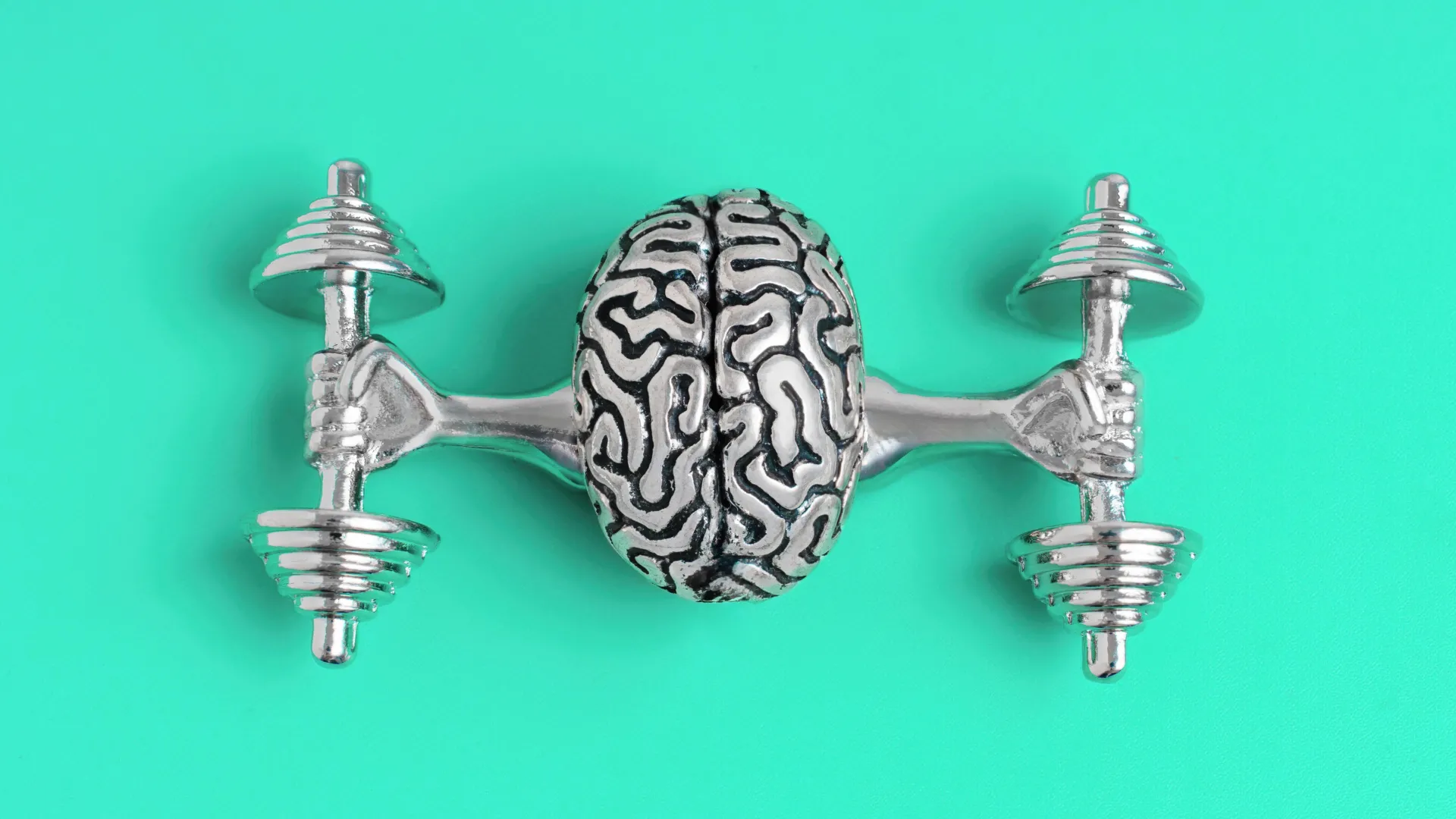 The Brain’s Secret to Staying Motivated