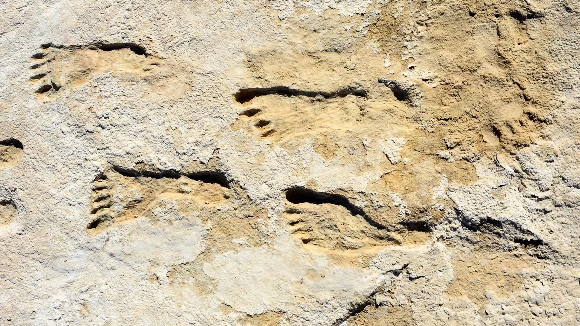 Ancient Footprints Rewrite American History