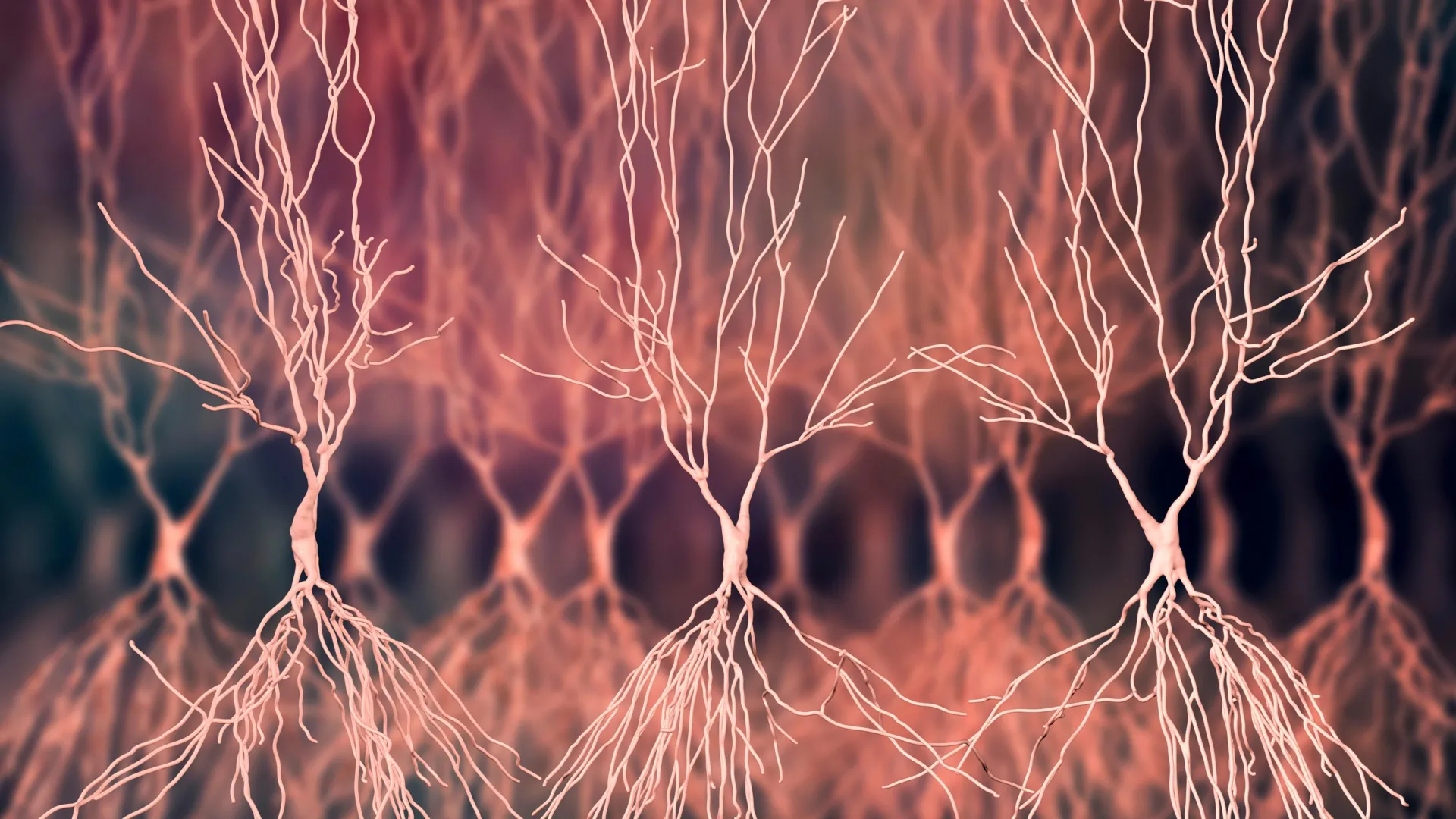 New Tools Probe Alzheimer’s Hidden Biology