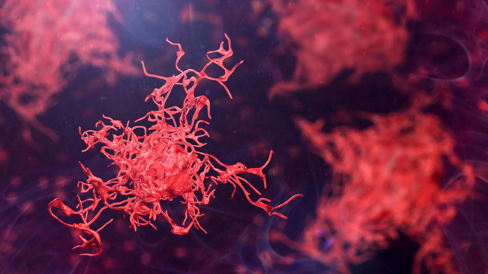 Dangerous Amoebas Are Spreading Worldwide