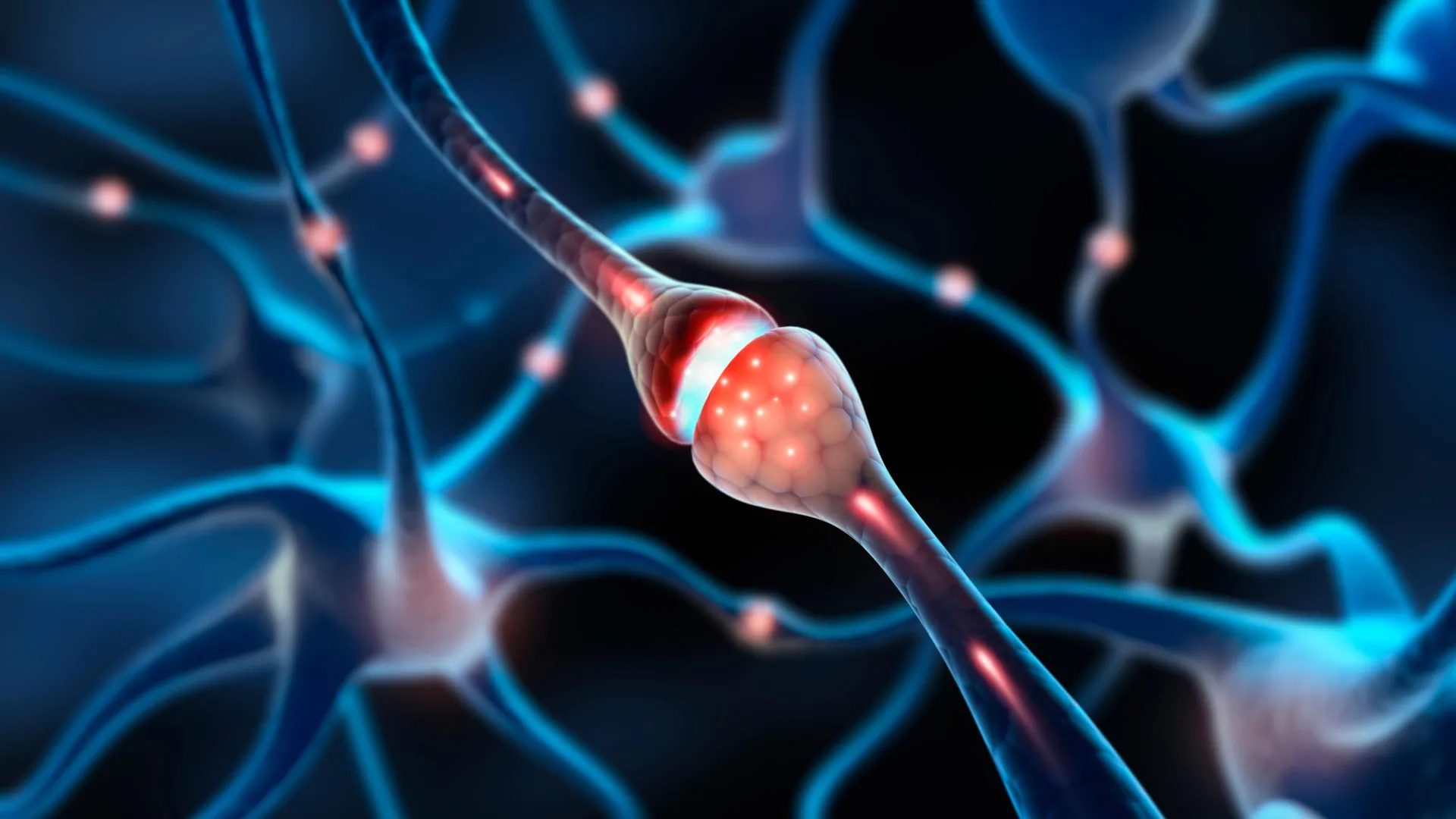 MIT Scientists Discover “Silent Synapses”