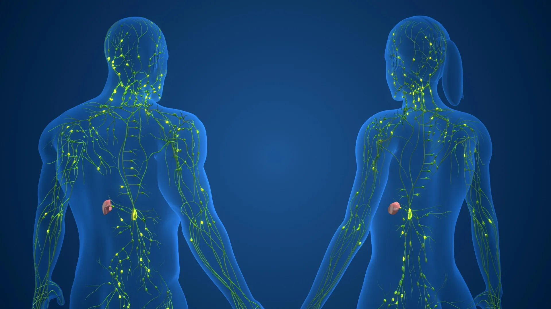 Hidden Differences in Human Immunity