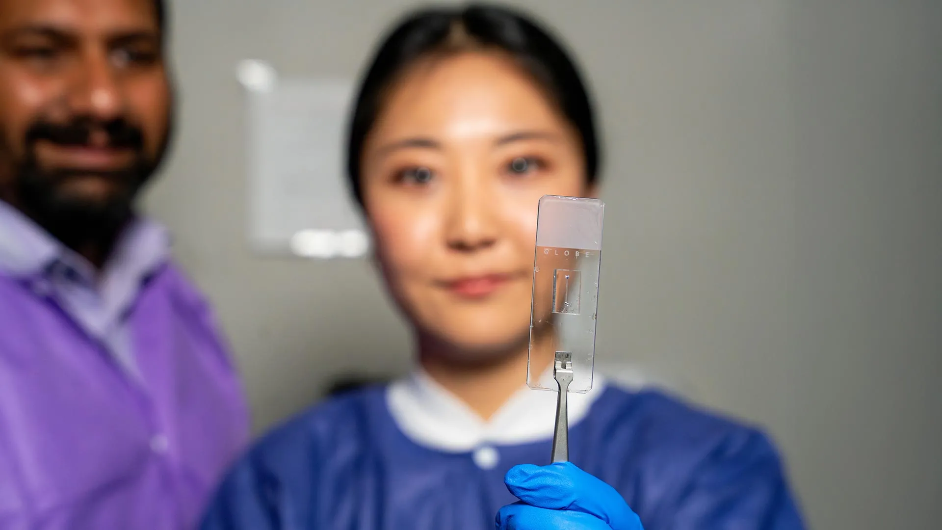 Recreating Living Blood Vessels on a Chip