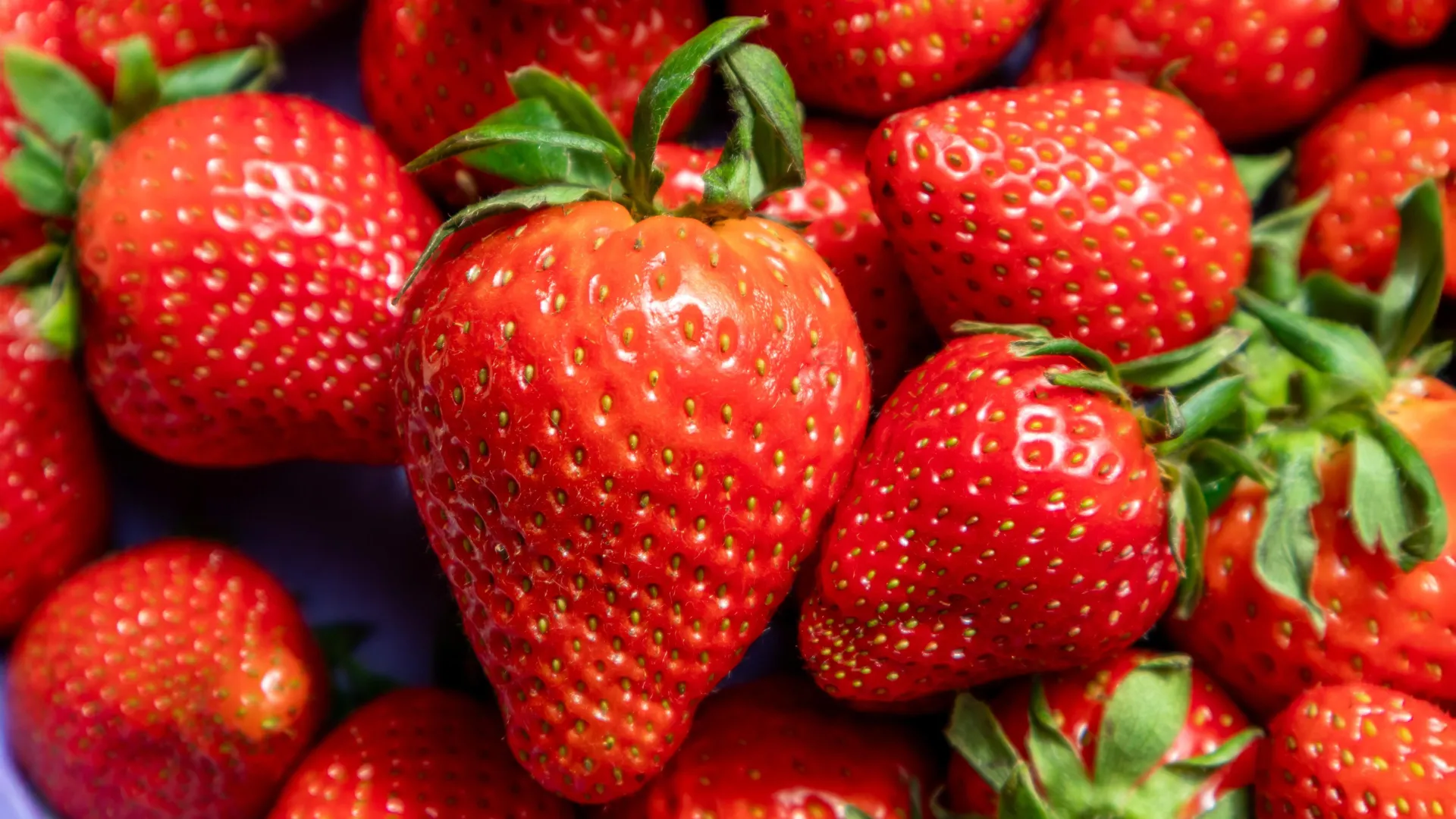 Secrets Hidden in Strawberry DNA