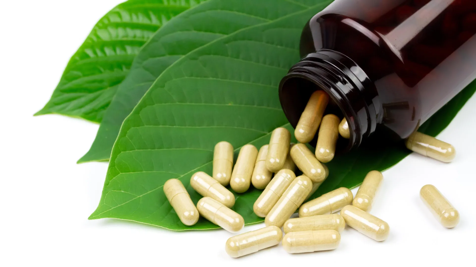 The Dark Side of the Kratom Boom