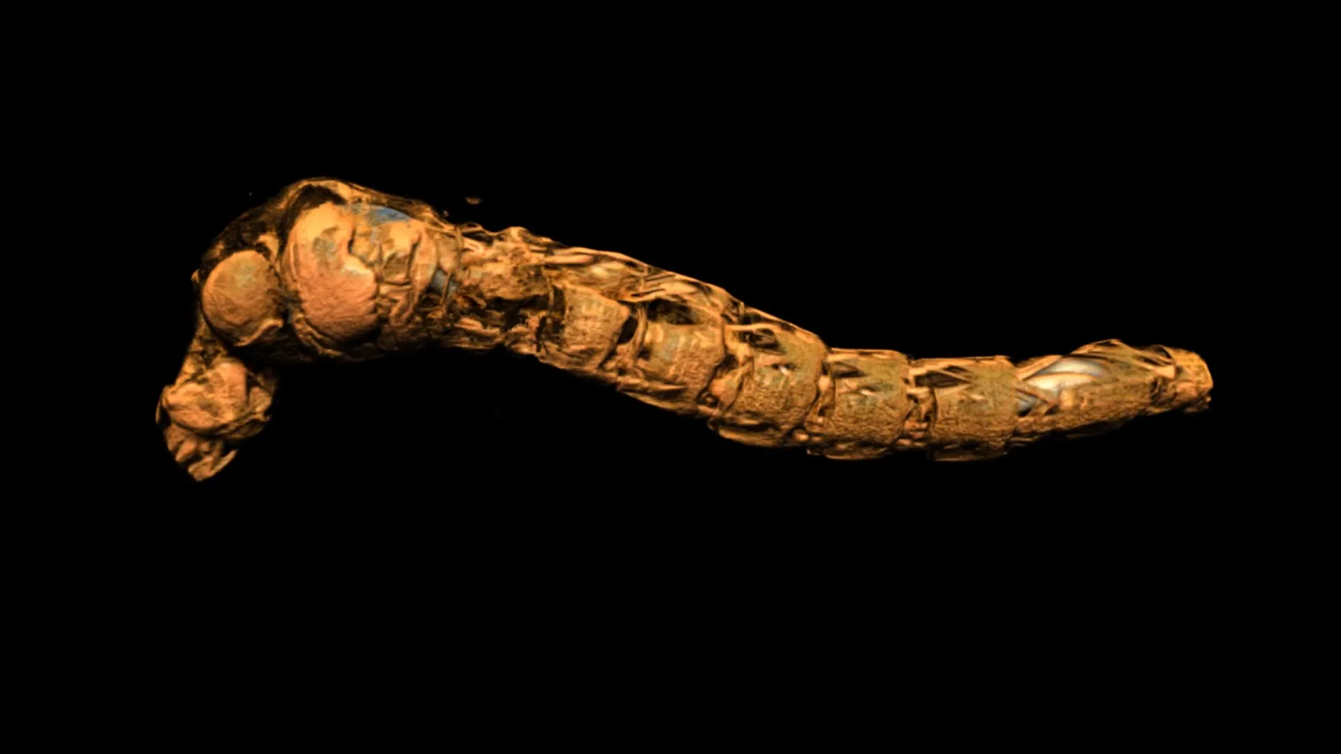 Tiny Larvae Defy Crushing Pressure