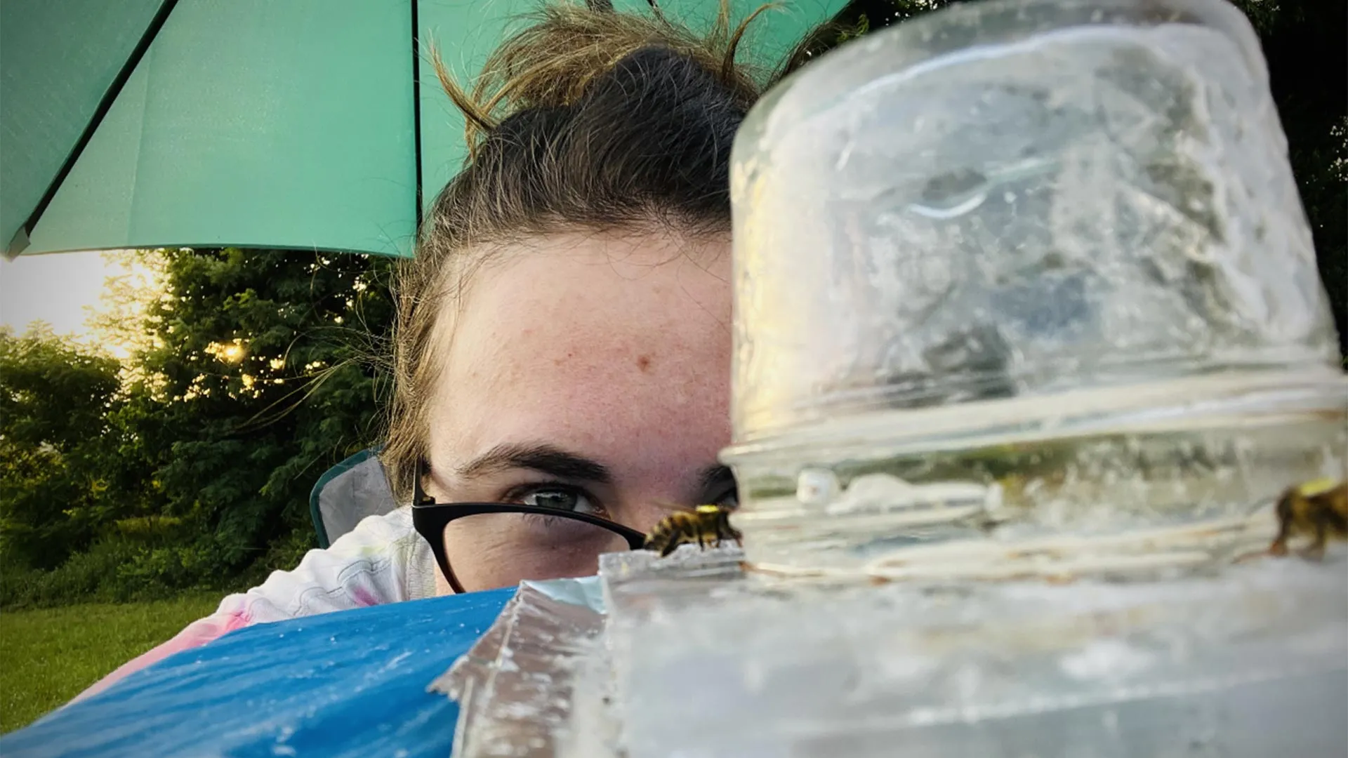 Weedkiller Disrupts Honeybee Brains