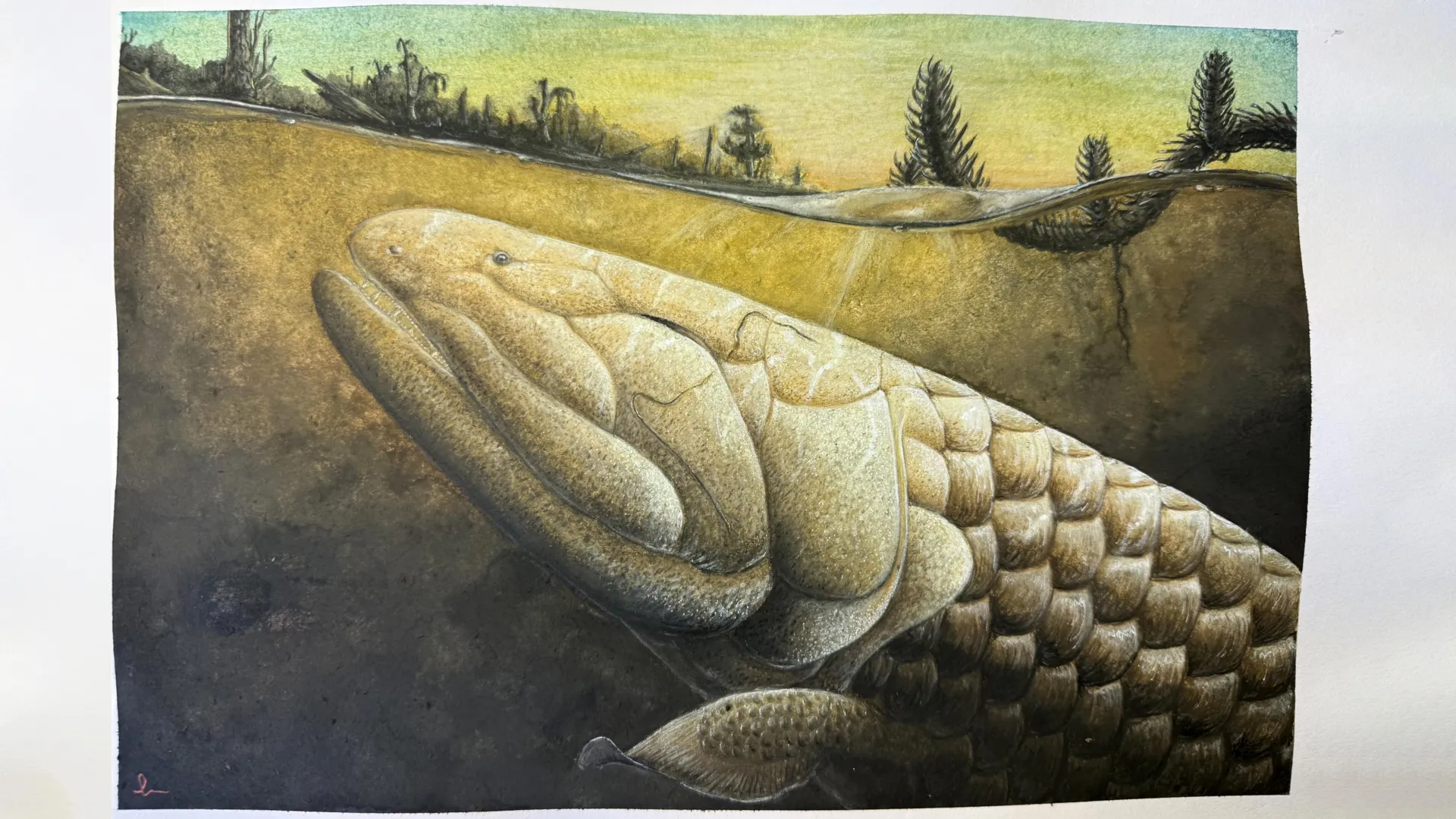 Ancient Fish Reveals Life on Land