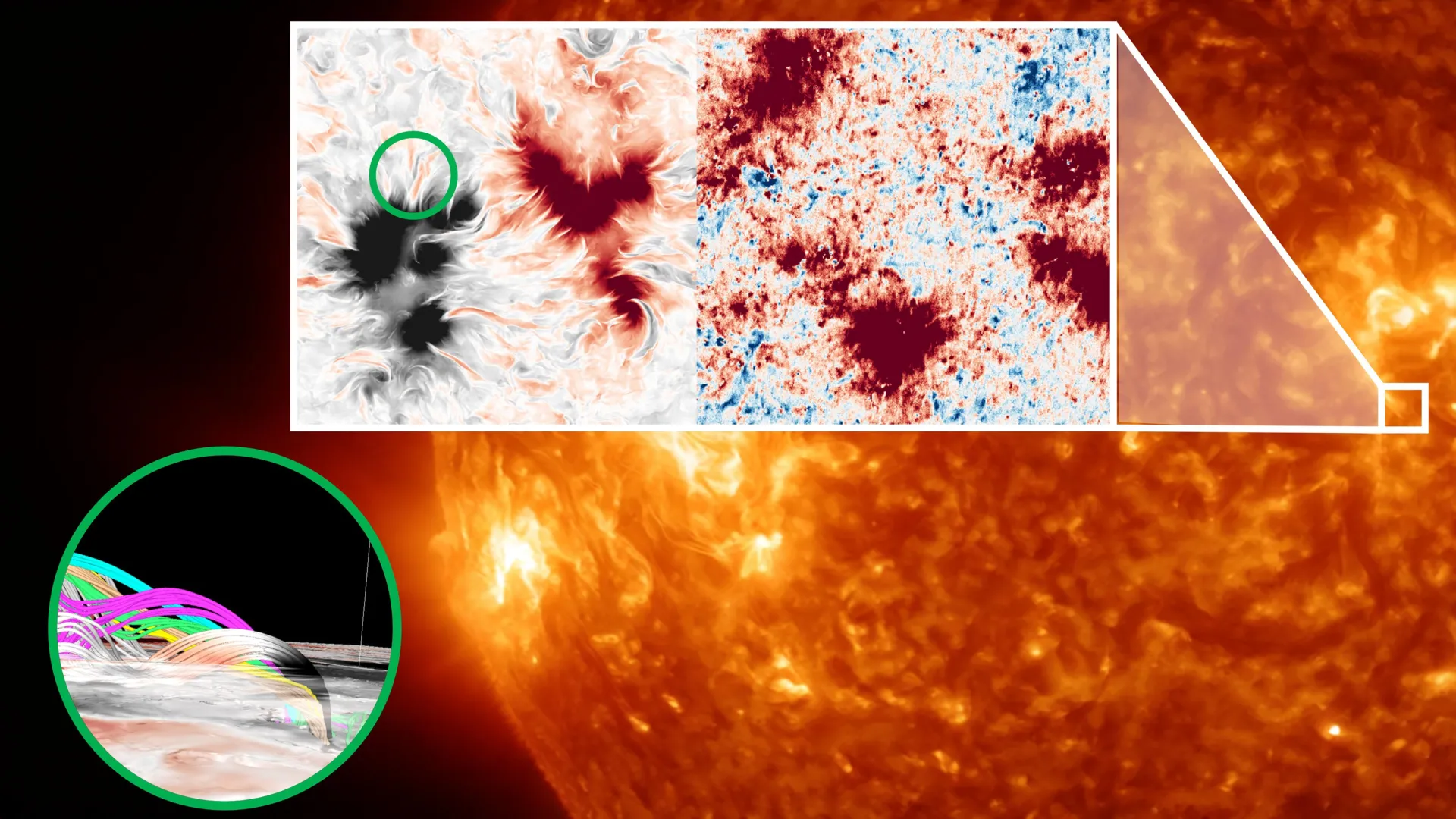 A Strange Magnetic Web Hides Above the Sun