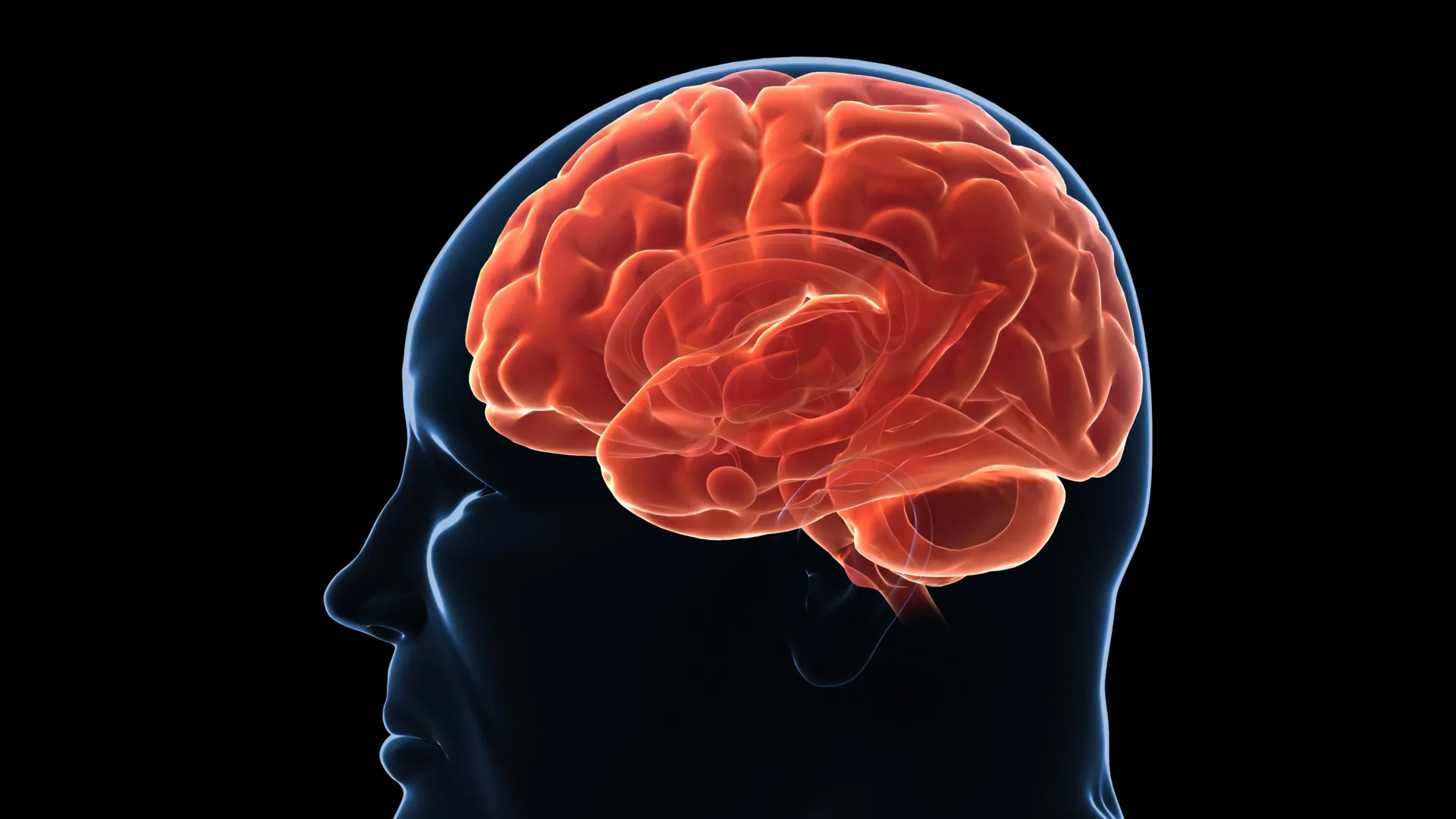 Why Your Brain Fights Weight Loss