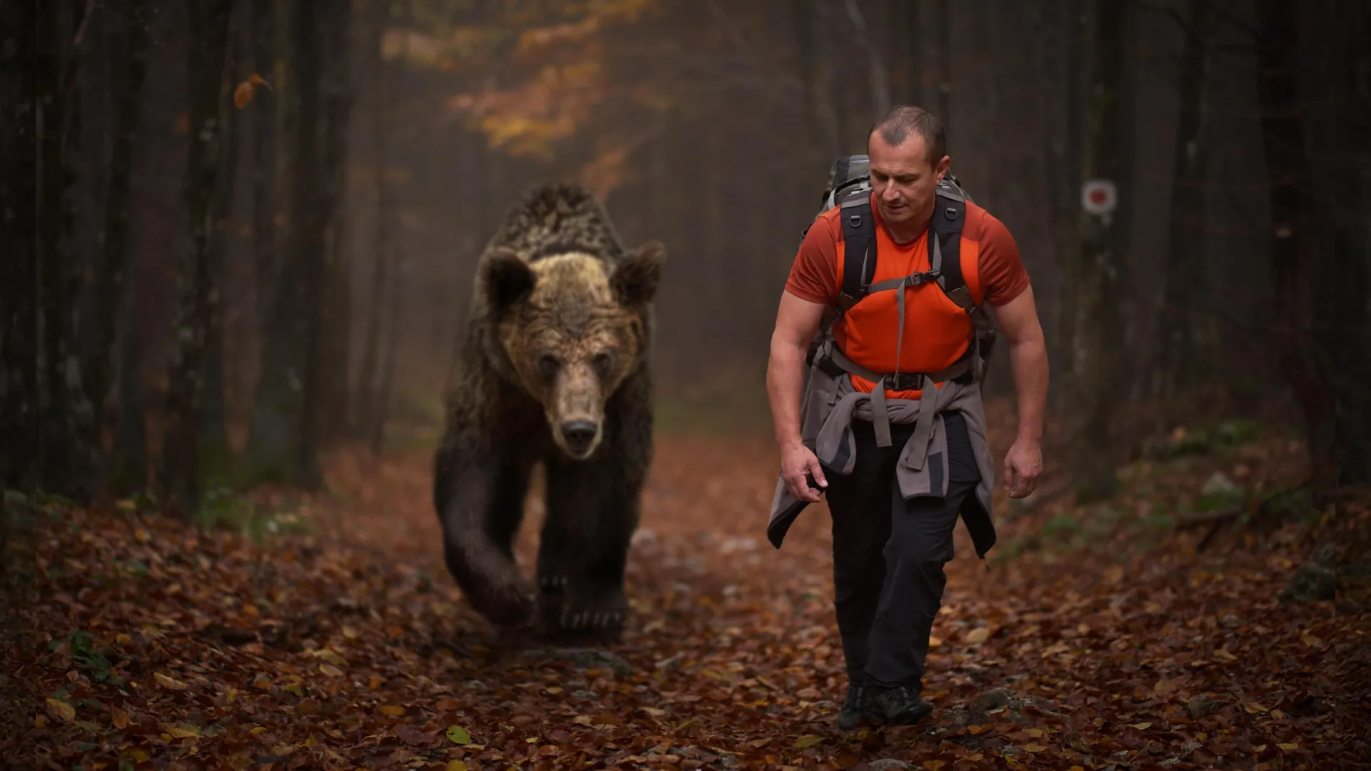 Are Humans the Ultimate Super-Predator?