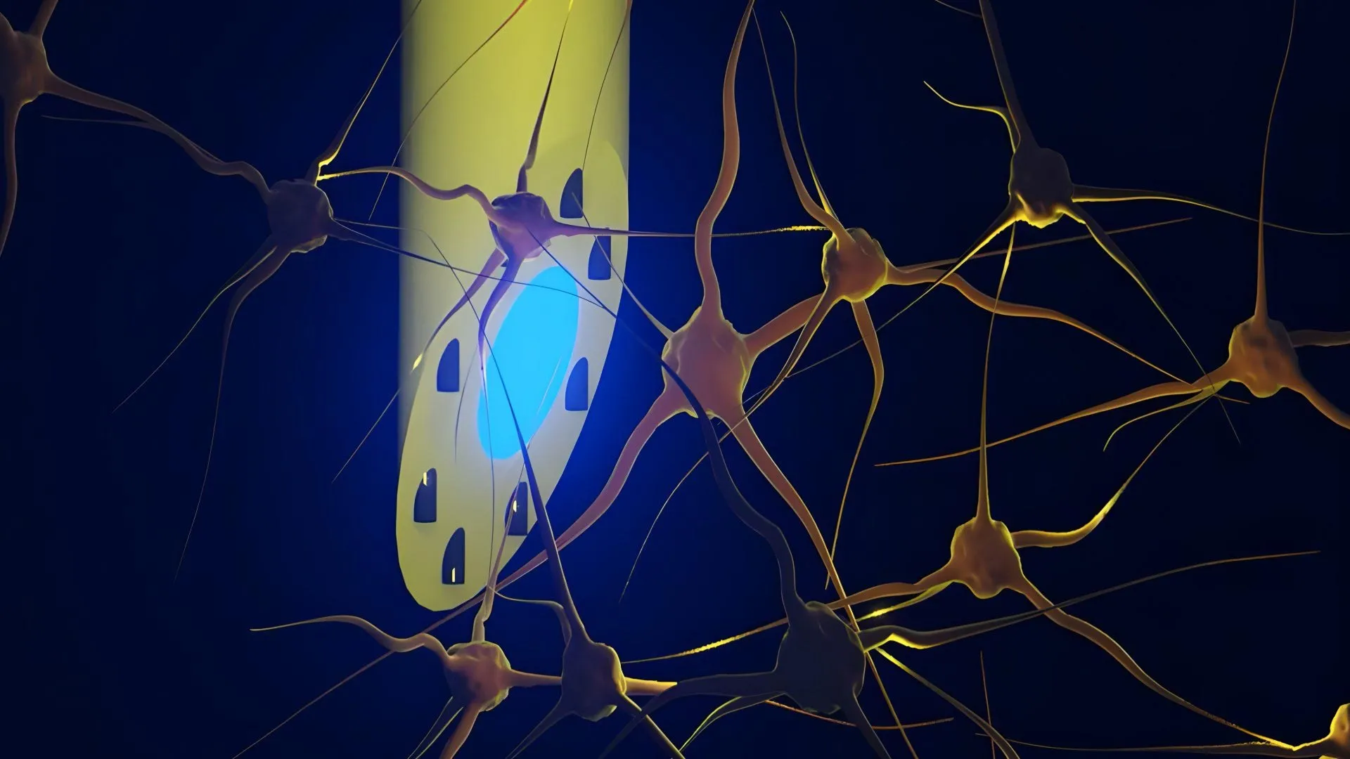 New Brain Implant Does Three Jobs at Once