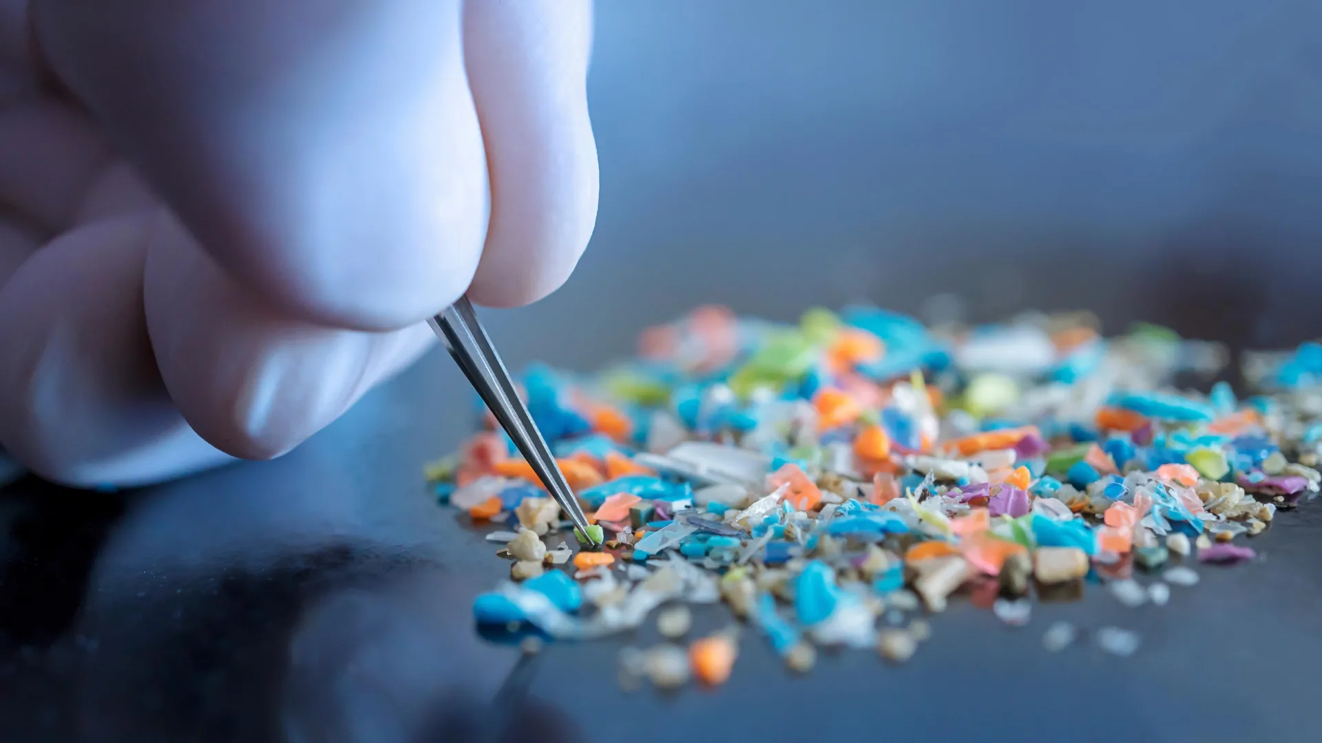 Lab Gloves May Skew Microplastics Data