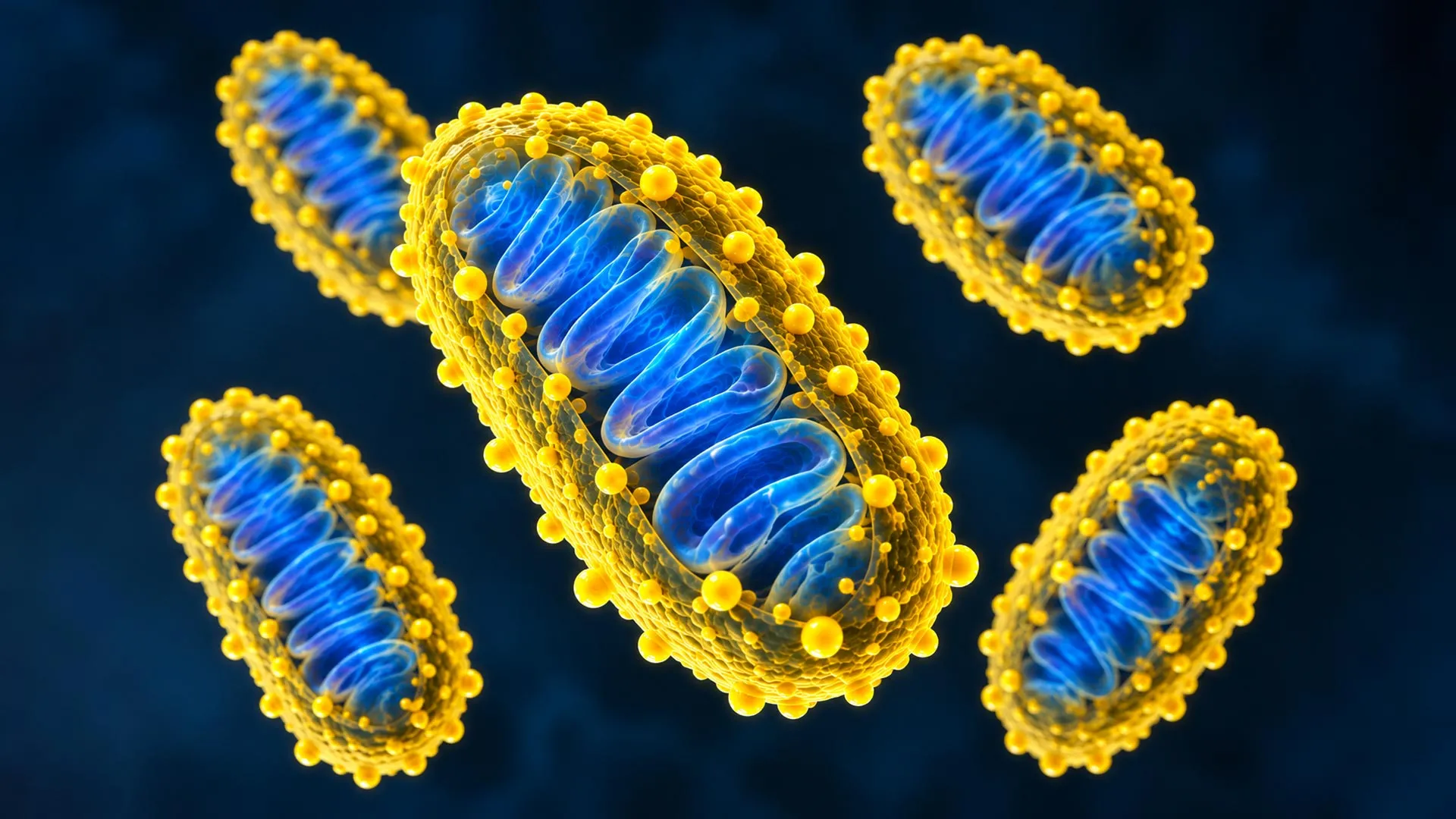 Scientists Give Mitochondria a High-Tech Coat