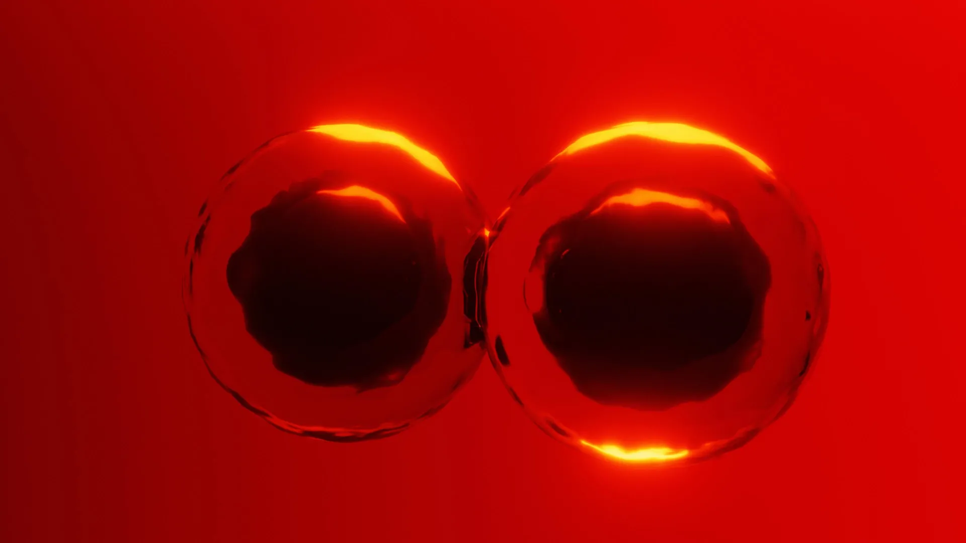 Scientists Discover a New Way Cells Divide