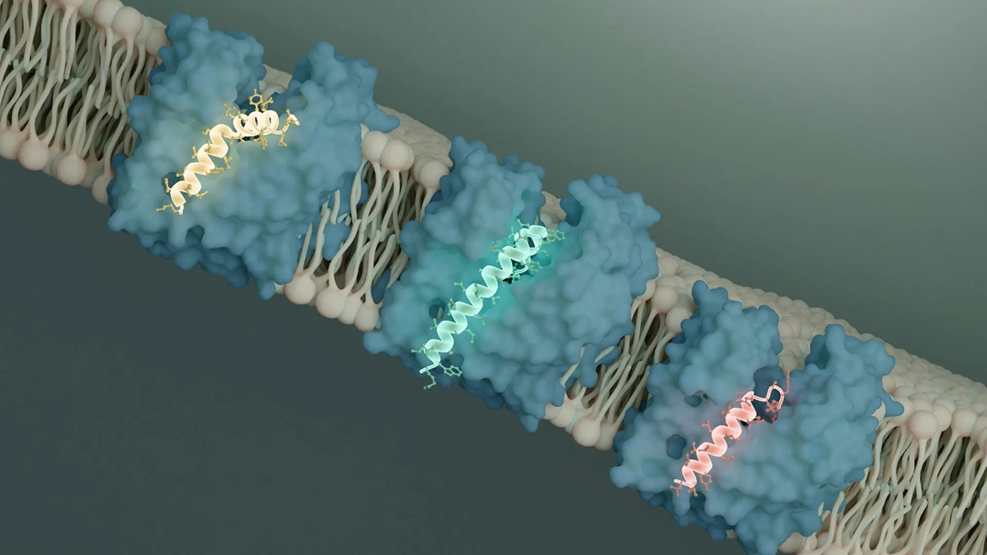 Scientists Discover a Bacterial Kill Switch