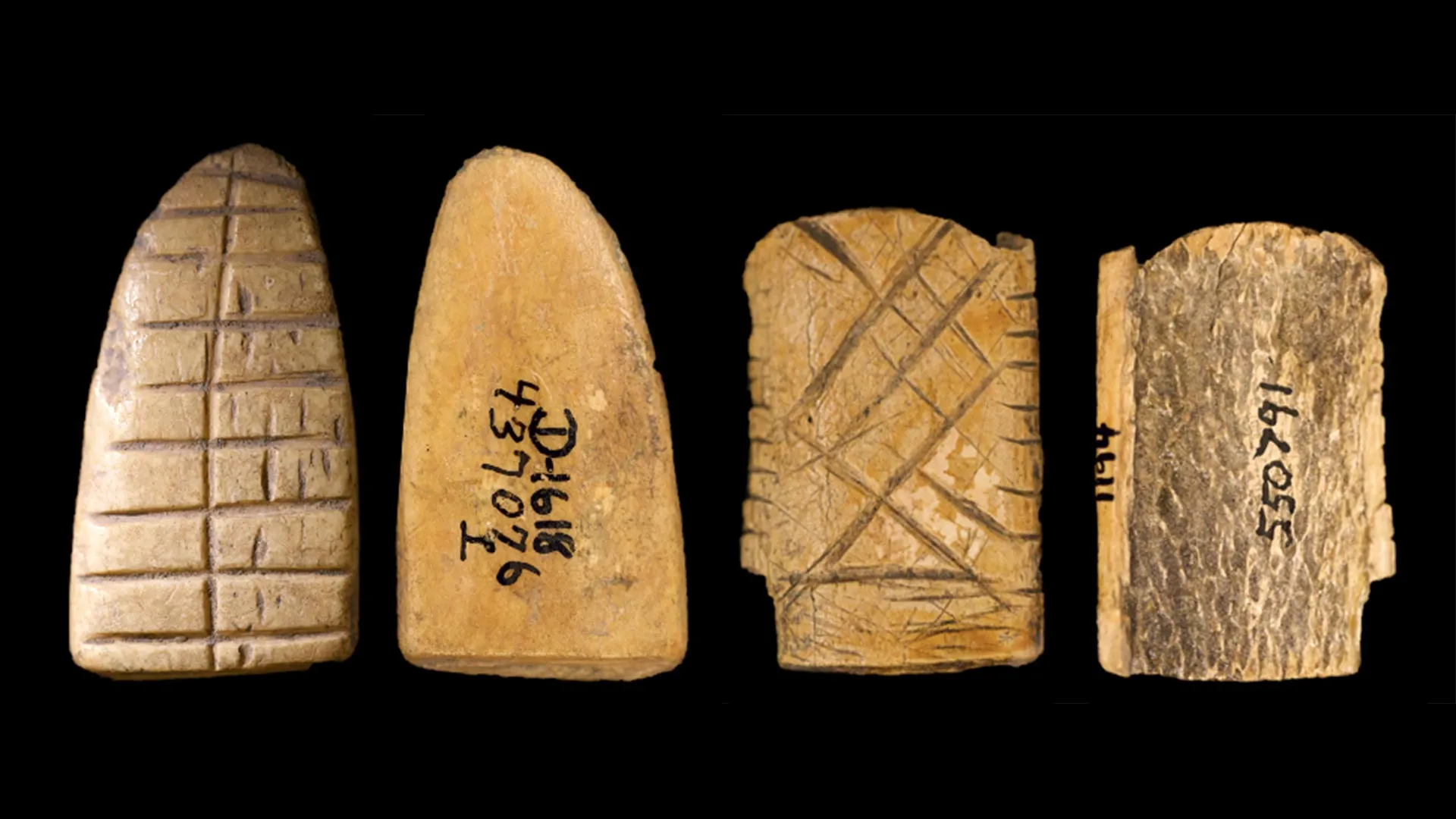 Humans Played Dice 12,000 Years Ago