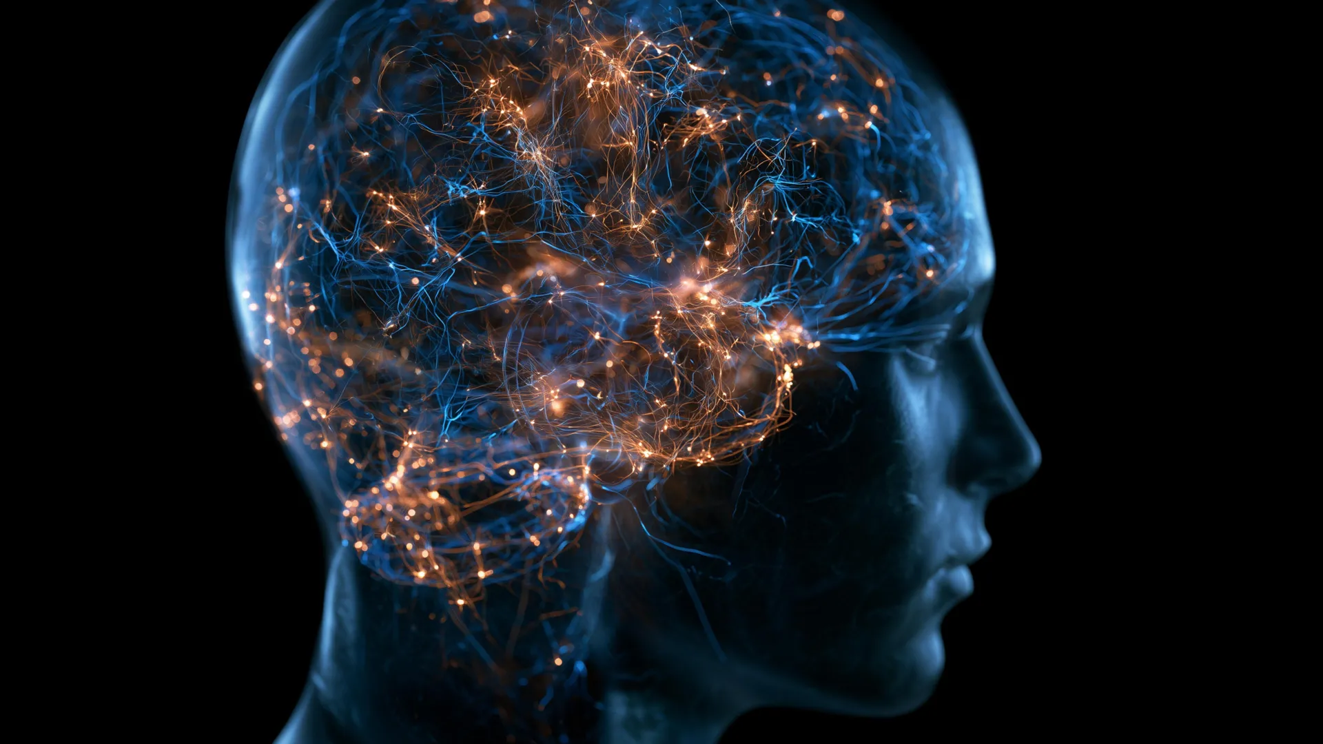 Human Brain Changes Dramatically After 50