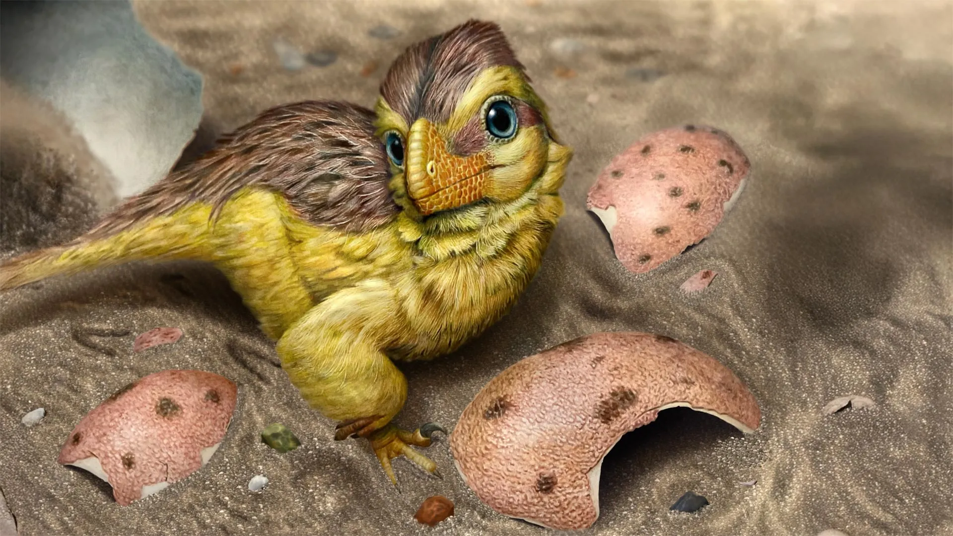 Fossilized Dinosaur Eggs Act as Timekeepers