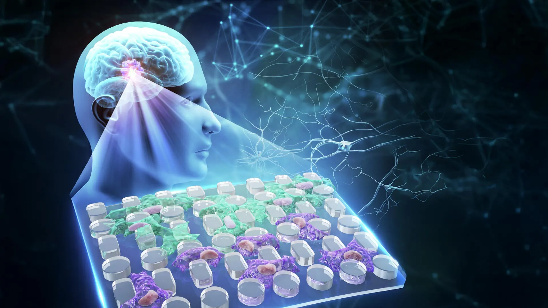 A Hidden Force Helps Brain Cancer Spread