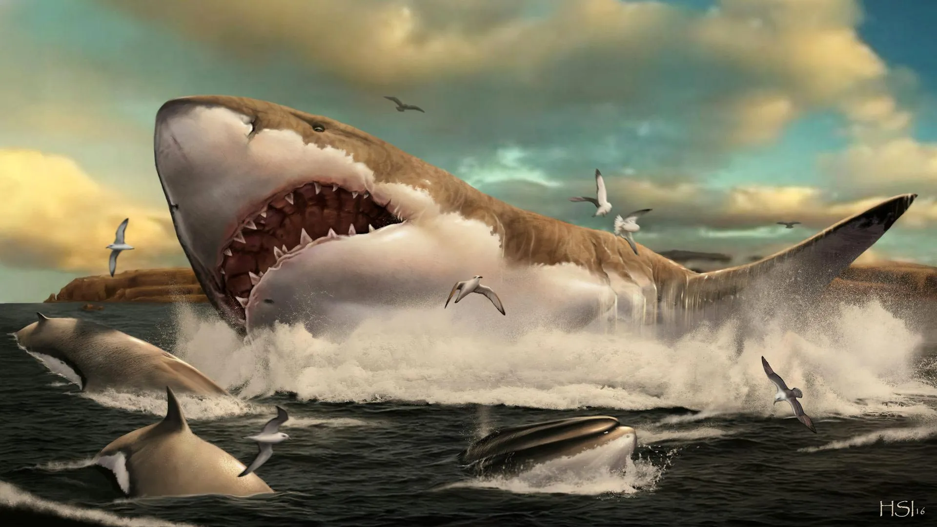 Scientists Rediscover Lost Megalodon Fossils
