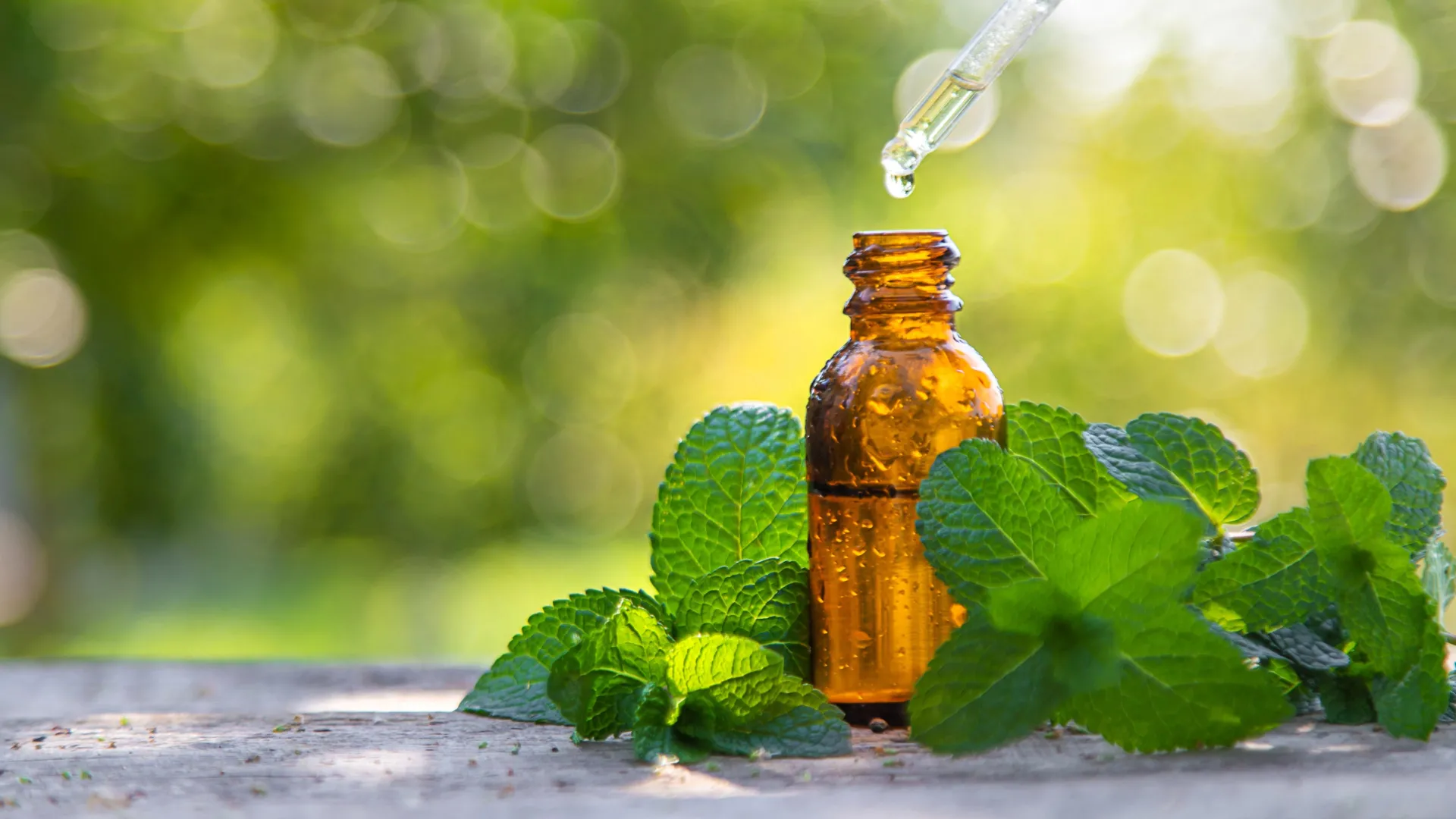 Peppermint Oil Lowers Blood Pressure
