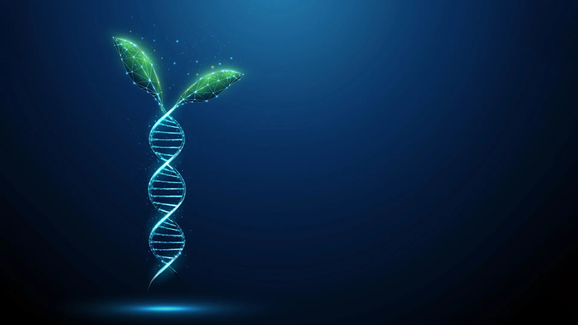Ancient DNA “Switches” Hidden in Plants
