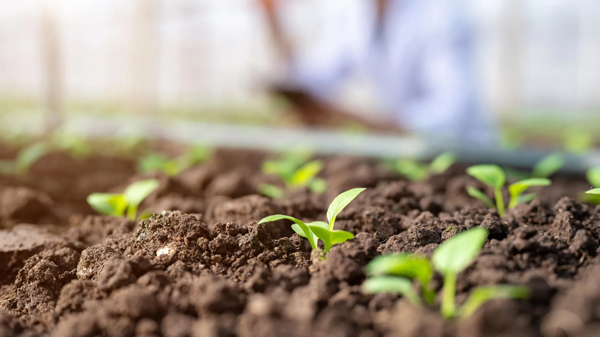 New Soil Test Tracks Hidden Phosphorus
