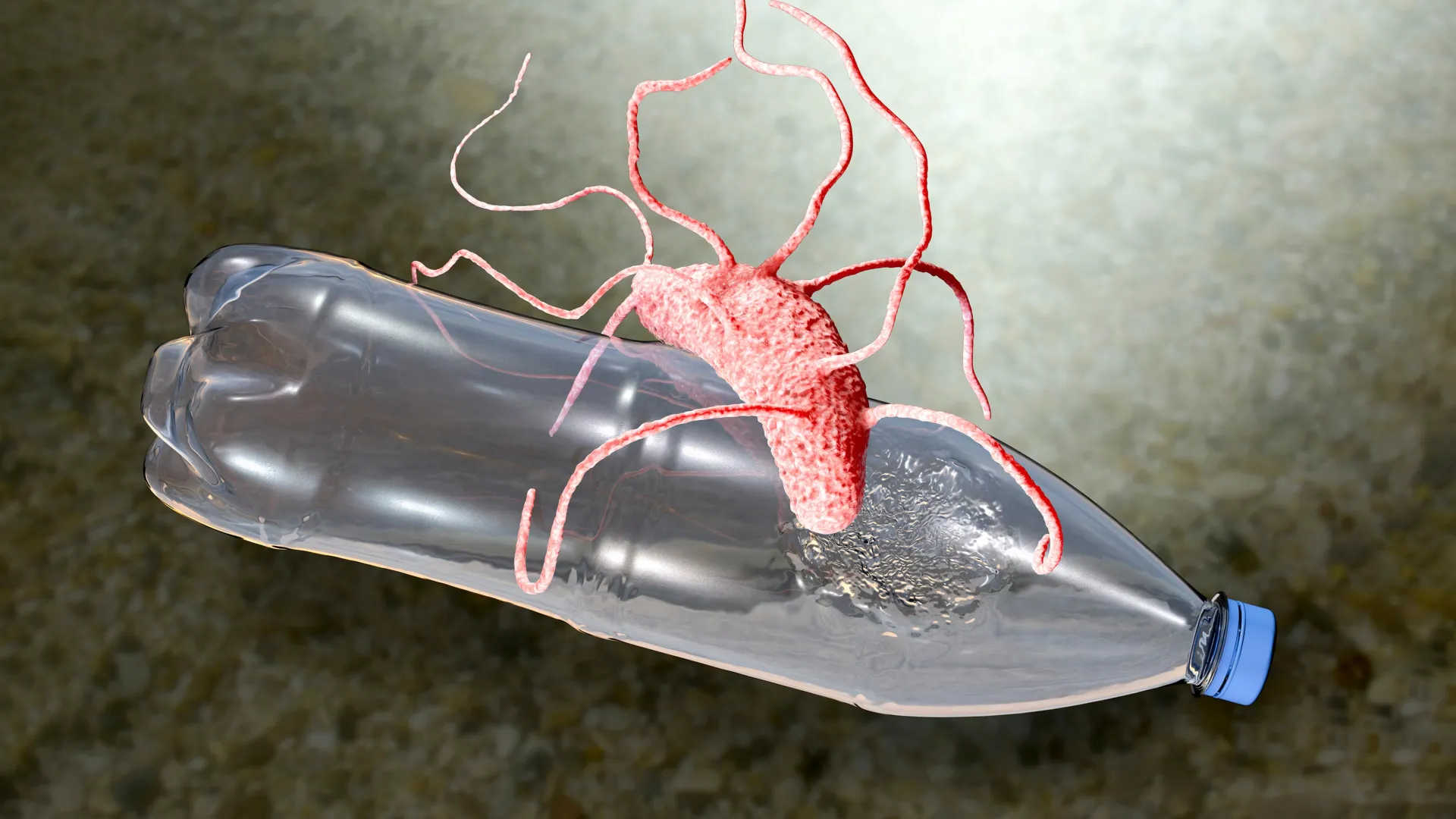 The “Pac-Man” Enzyme That Eats Plastic