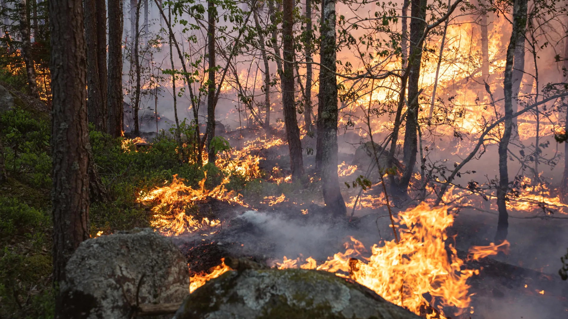 Boreal Fires Threaten Climate Balance