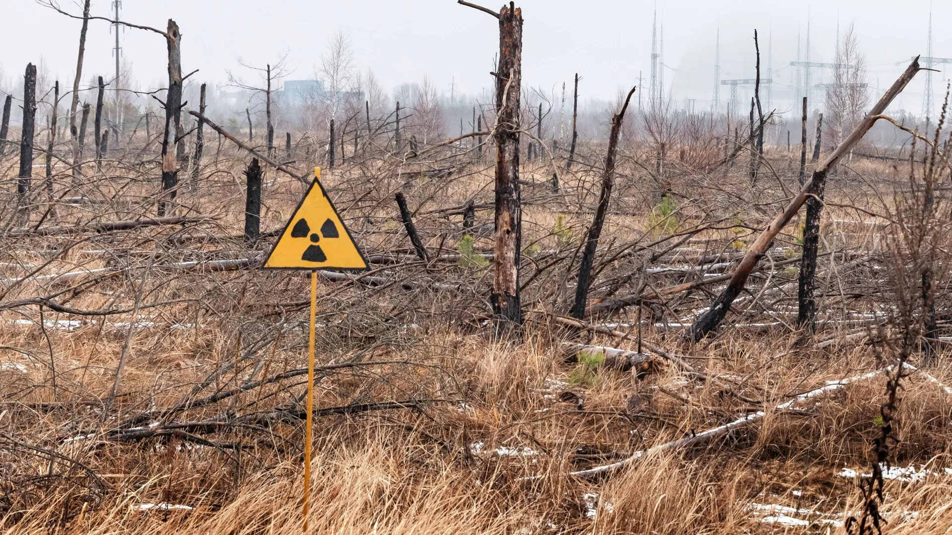 Chernobyl's Radioactive Dust Holds a Secret