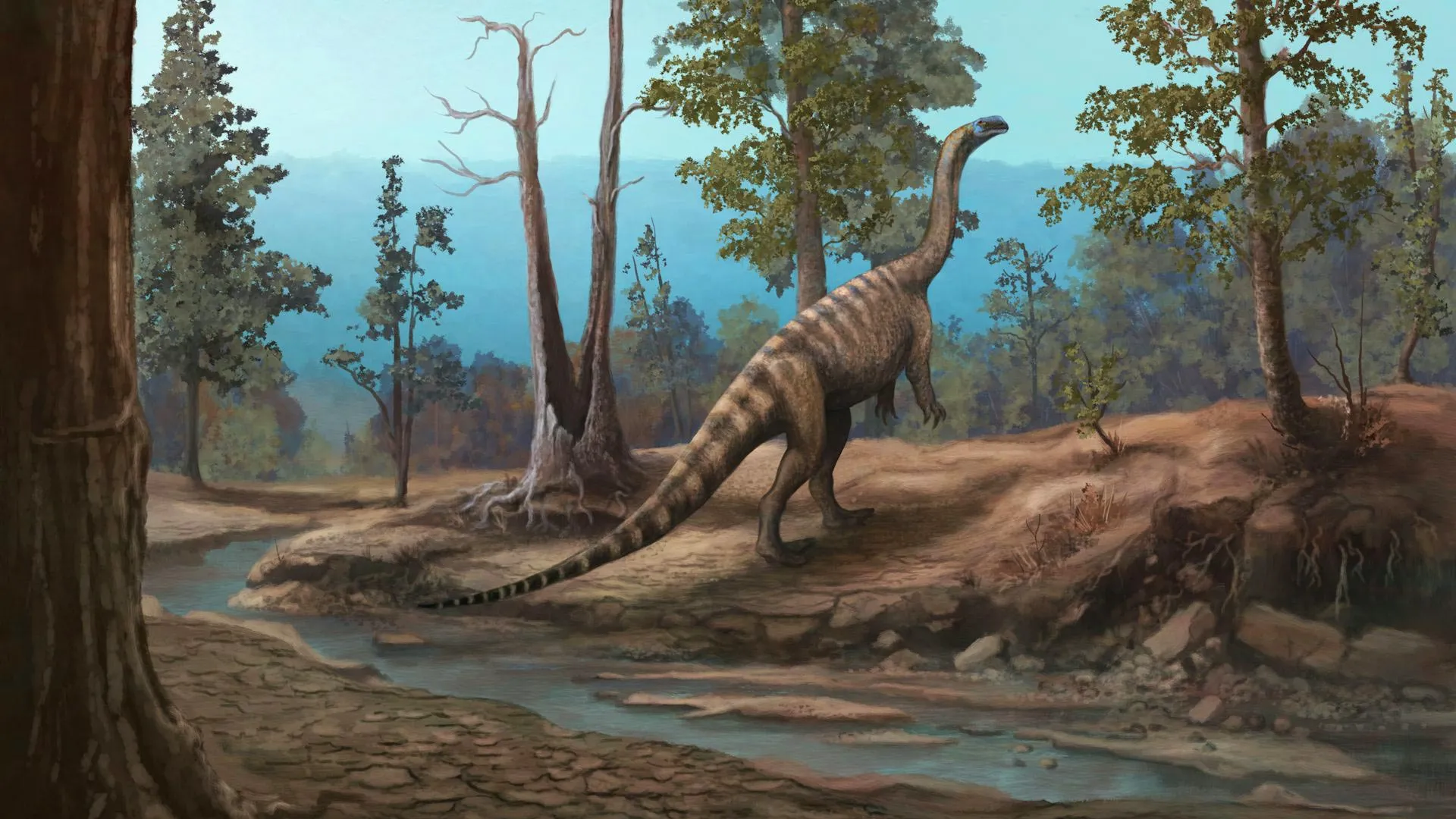 A Lost Dinosaur World Emerges in Zimbabwe