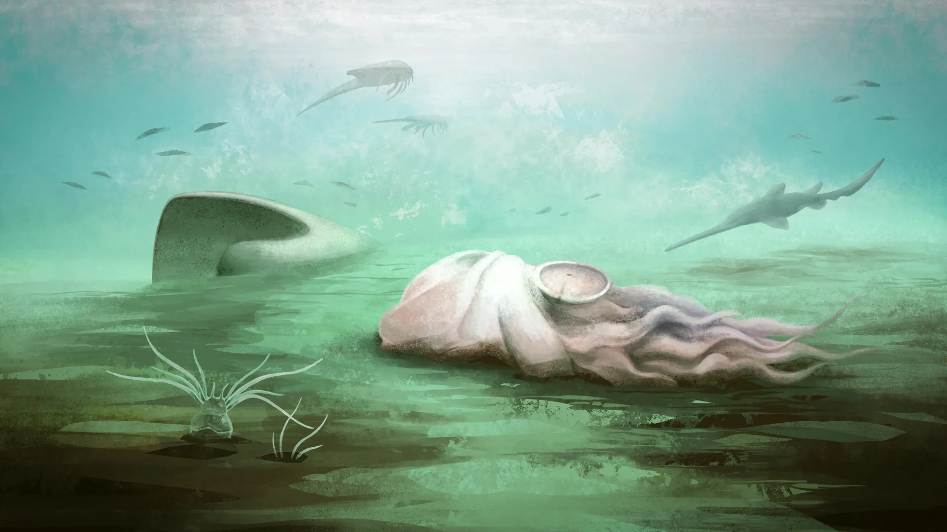 Oldest Octopus Was Never an Octopus