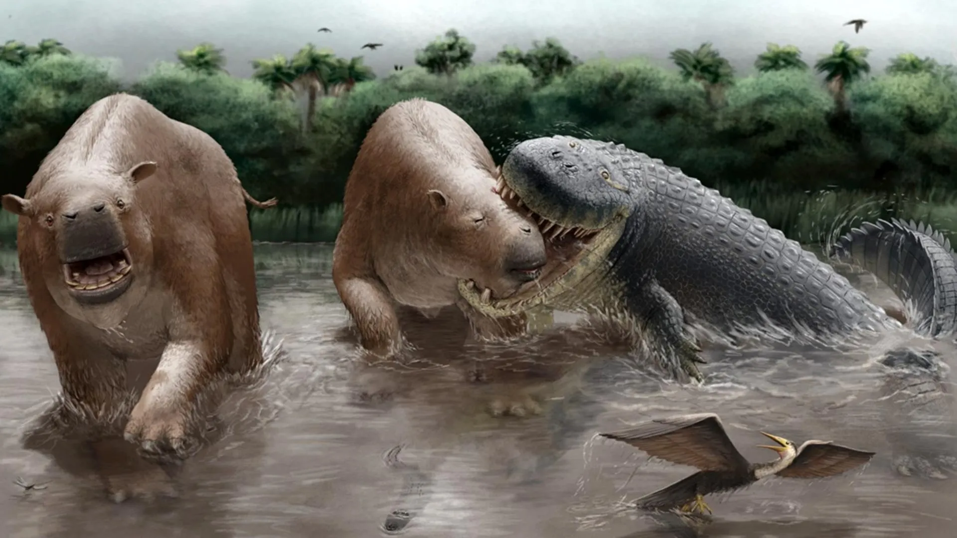 Giant Crocodylians Ruled the Miocene