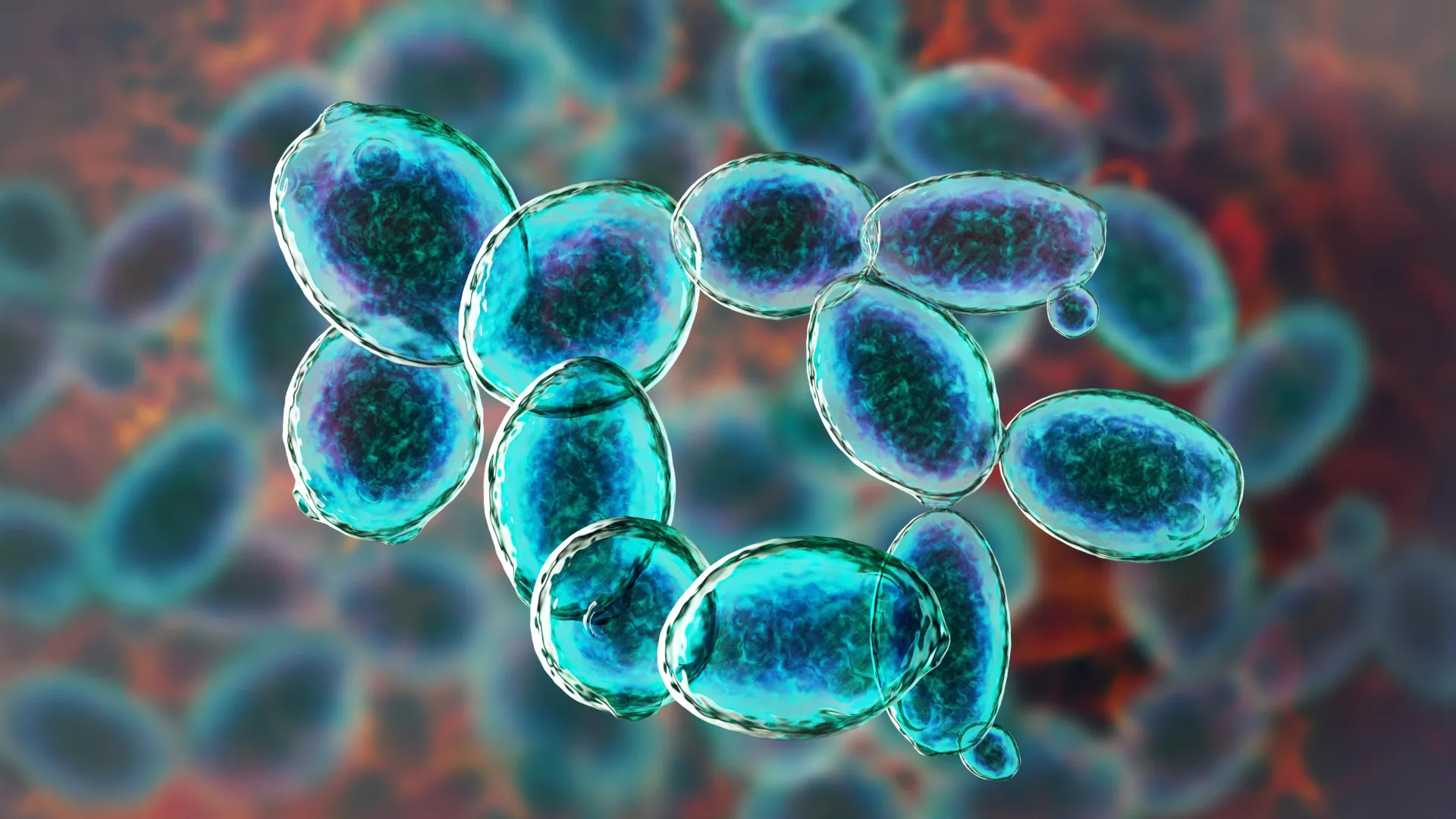 Yeast Survives Mars-Like Conditions