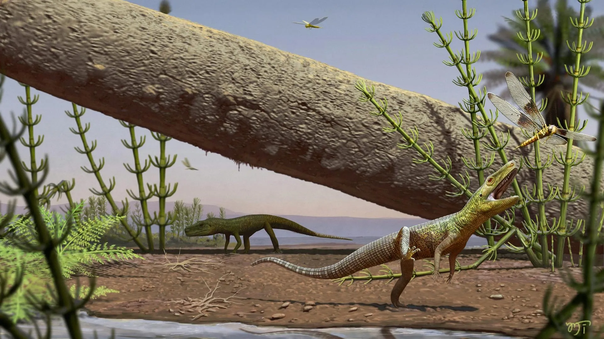 240-Million-Year-Old Reptile Revealed