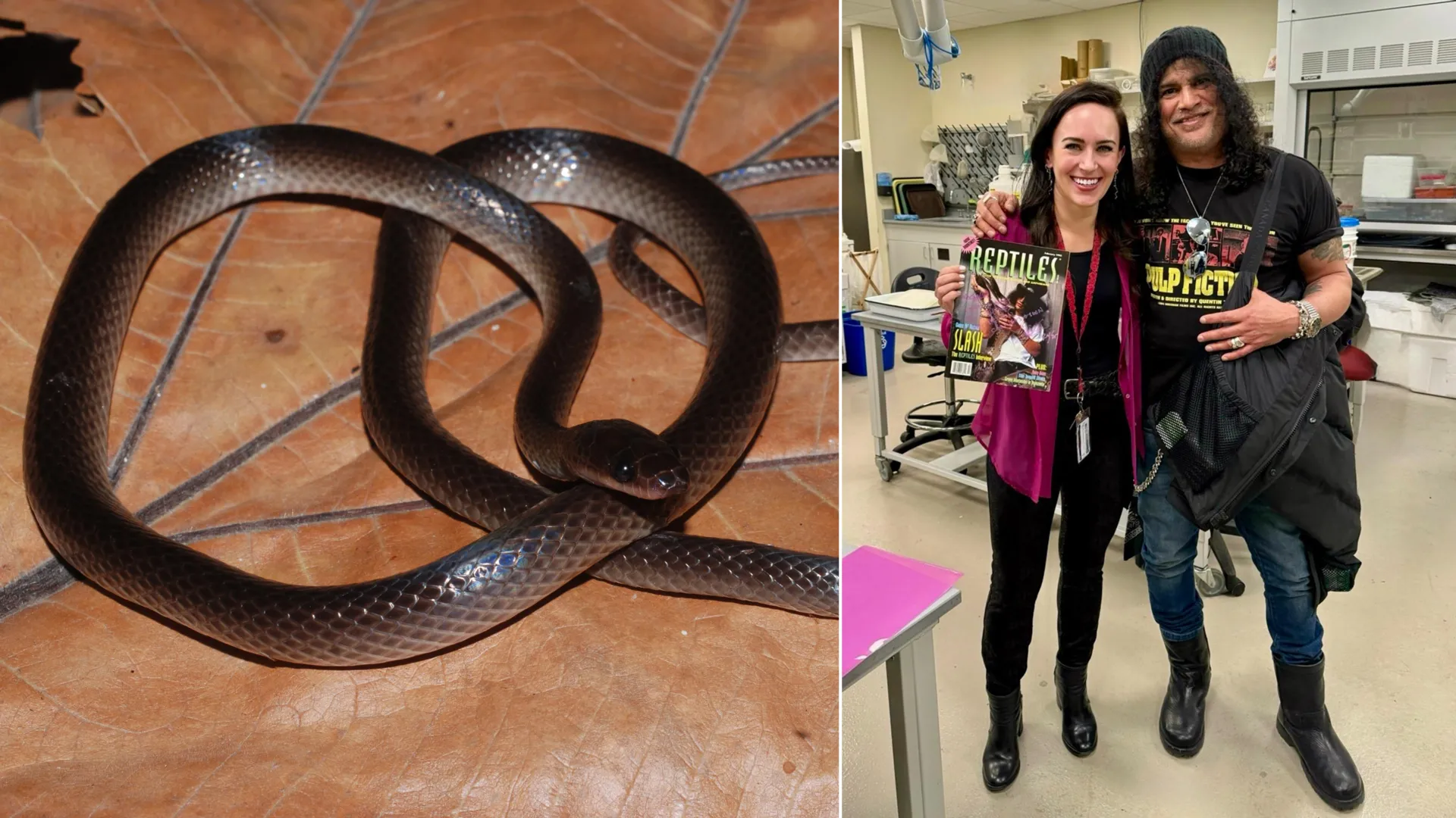 New Snake Species Named After Slash
