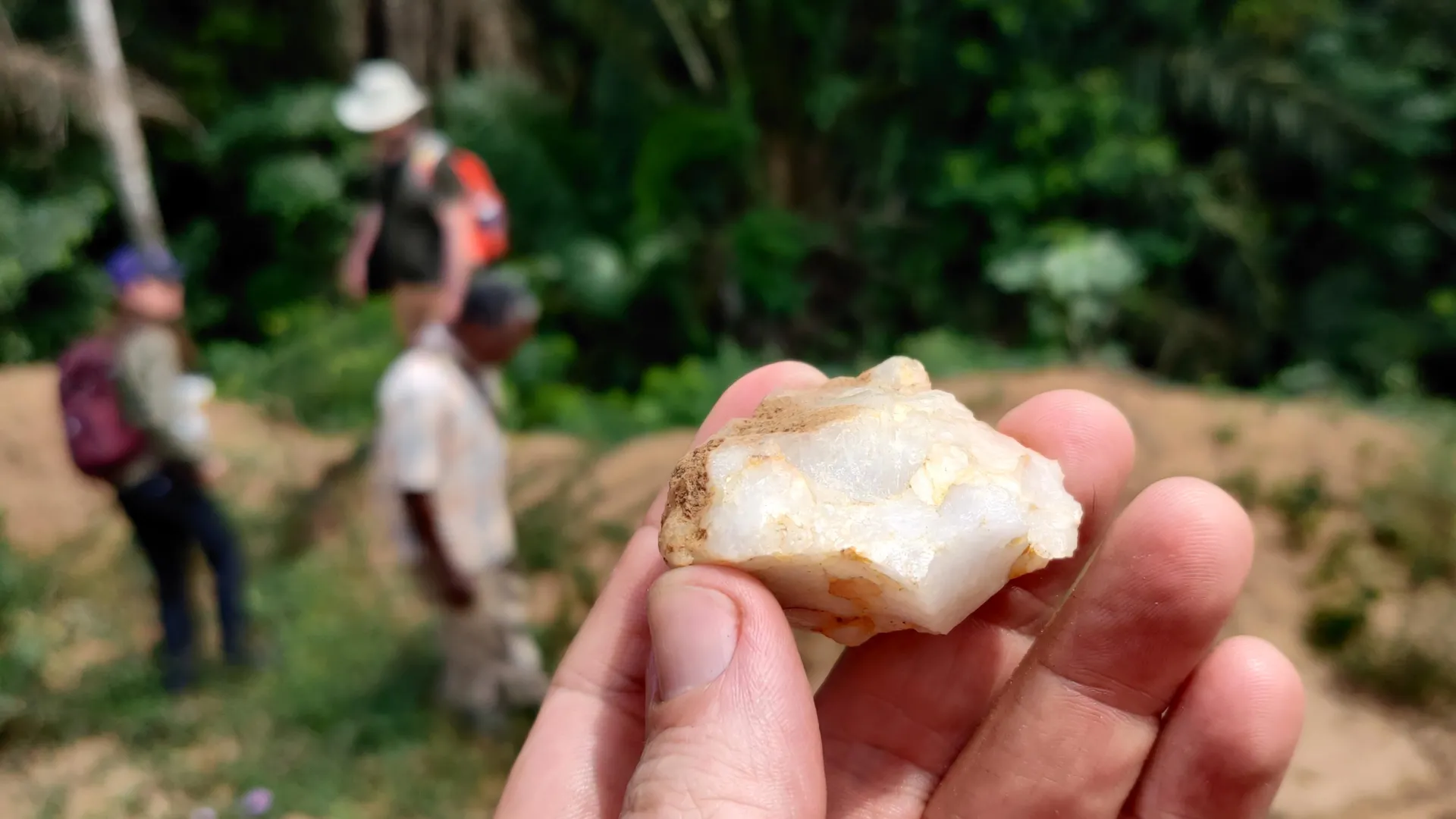 Humans Lived in Forests 150,000 Years Ago