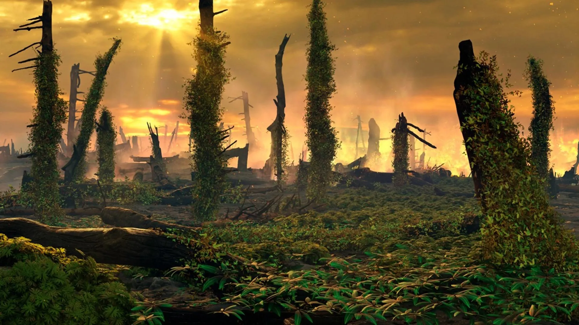 Ancient Ferns Fueled a Triassic Inferno