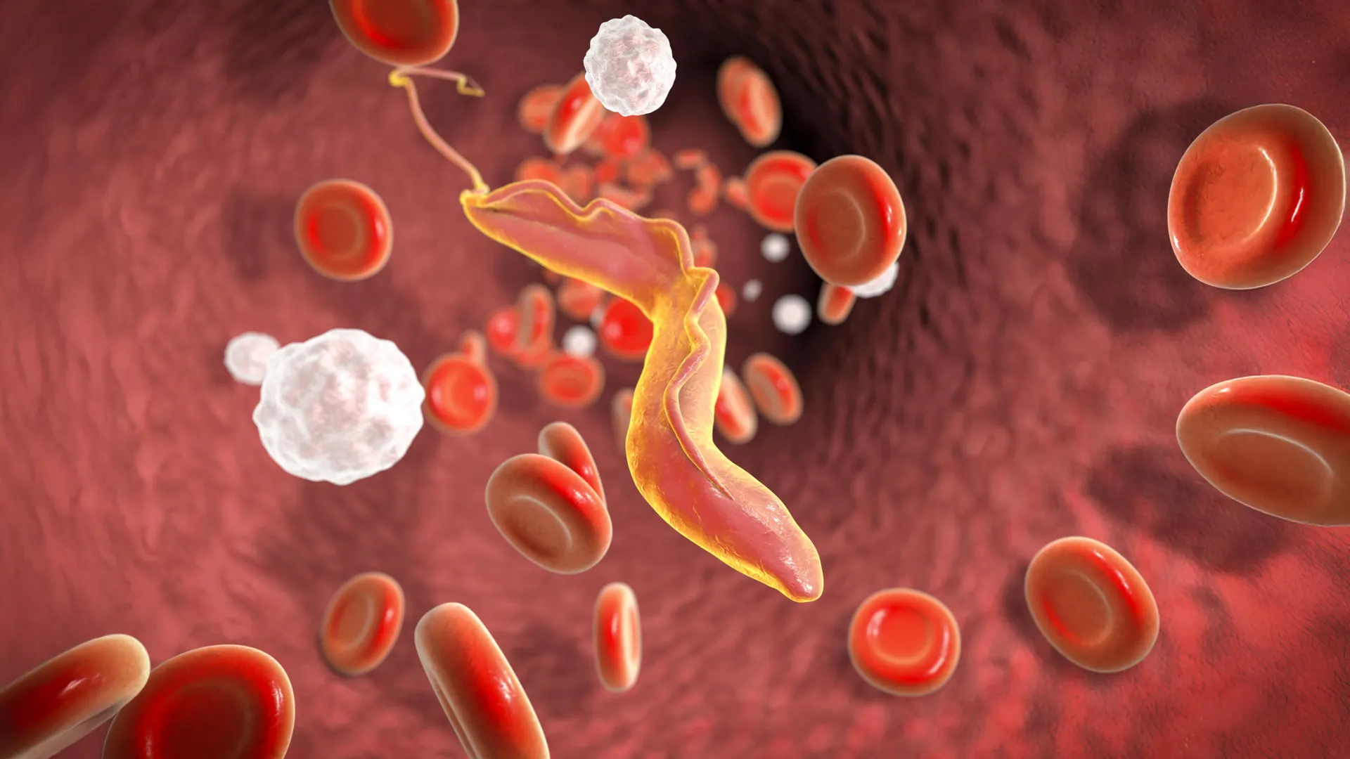 Deadly Parasite Uses Genetic “Shredder”