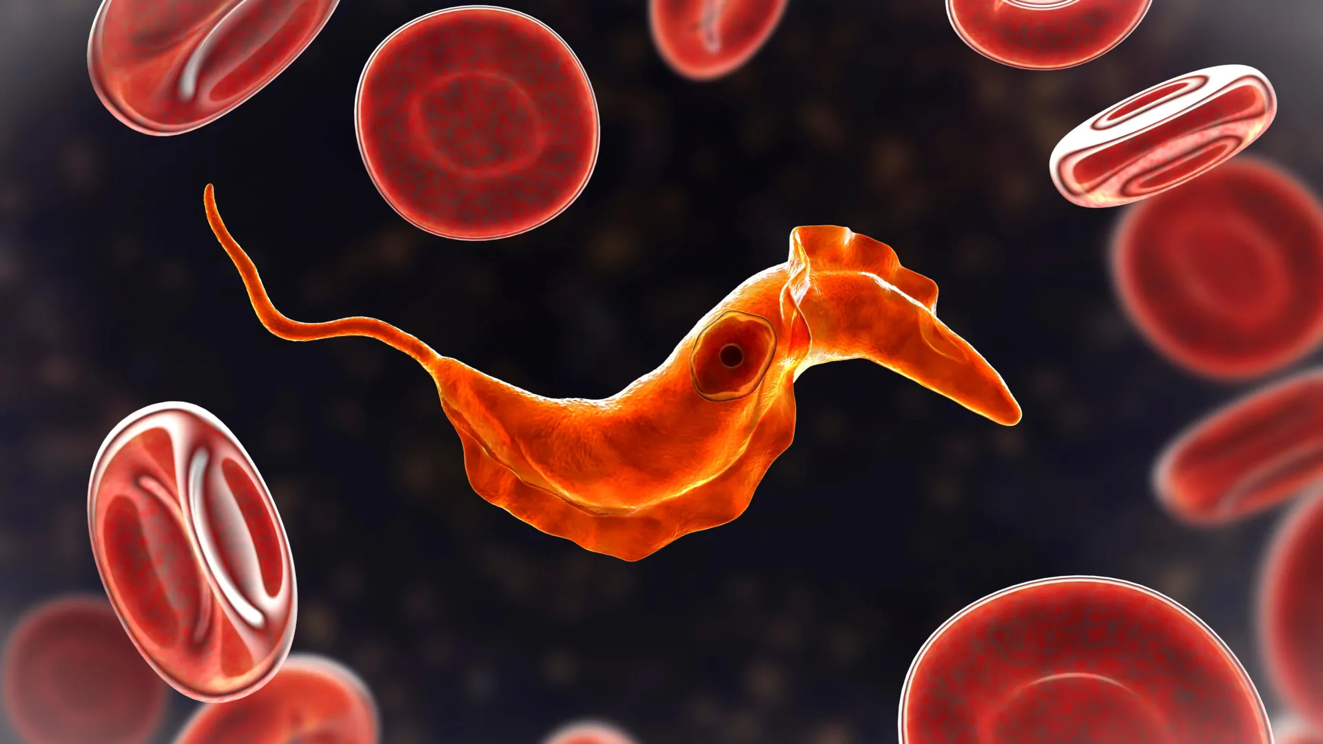 The Ancient Origins of Human Blood